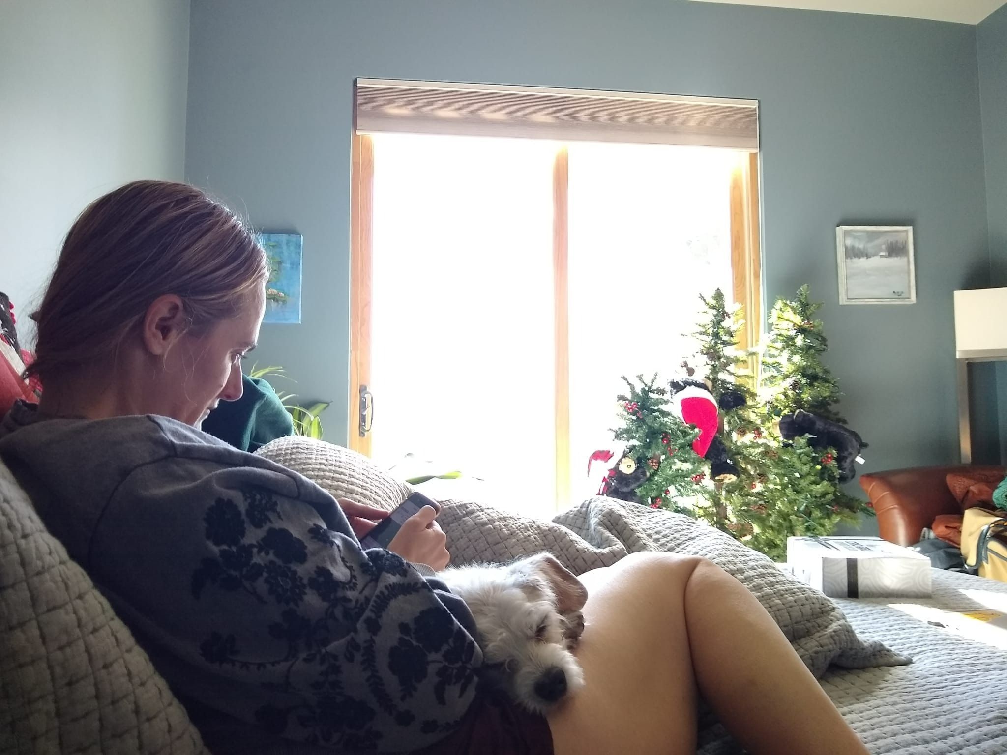 image-6