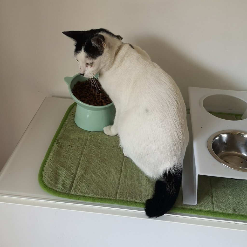 Perla onze parel