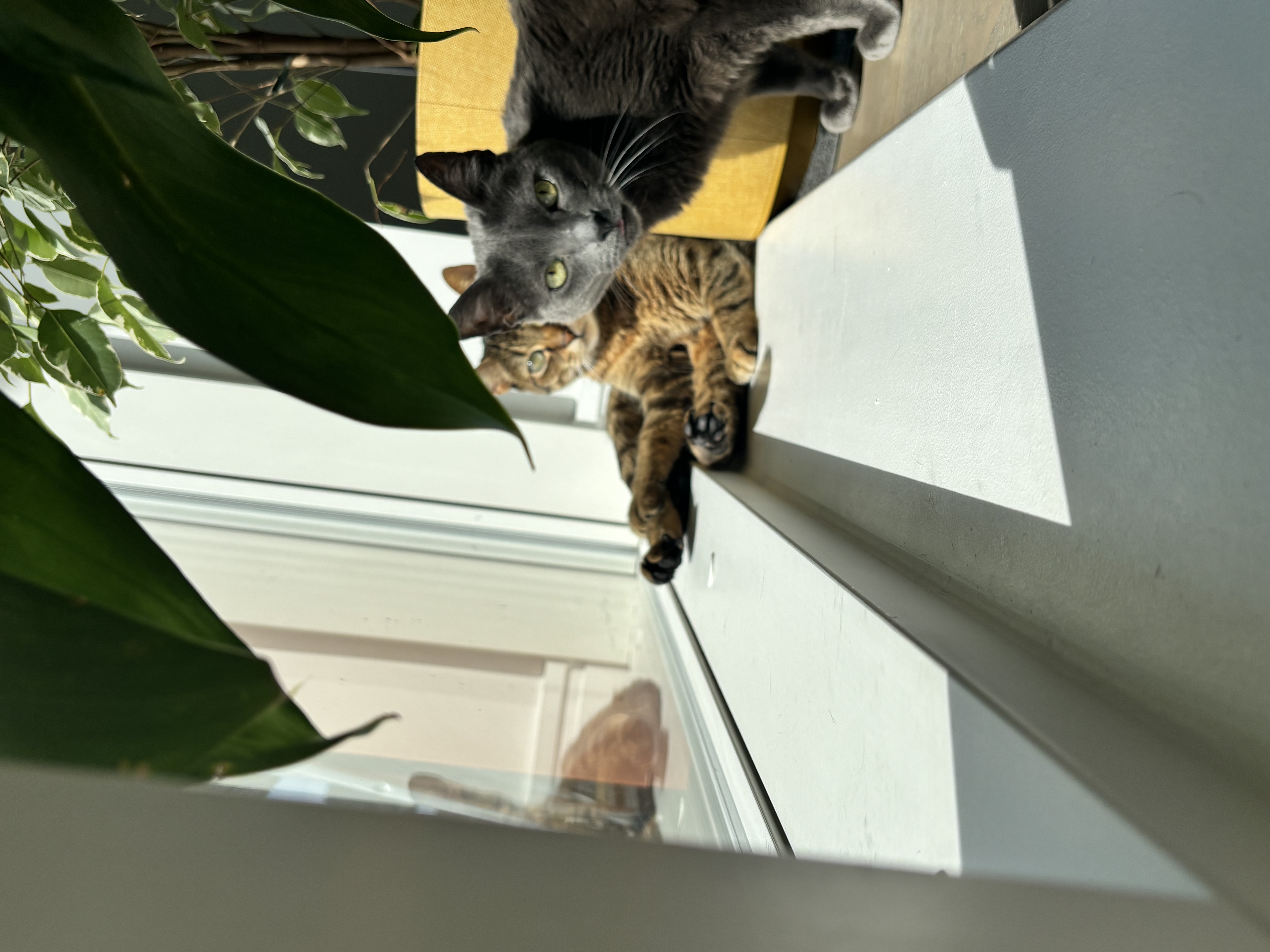 image-9