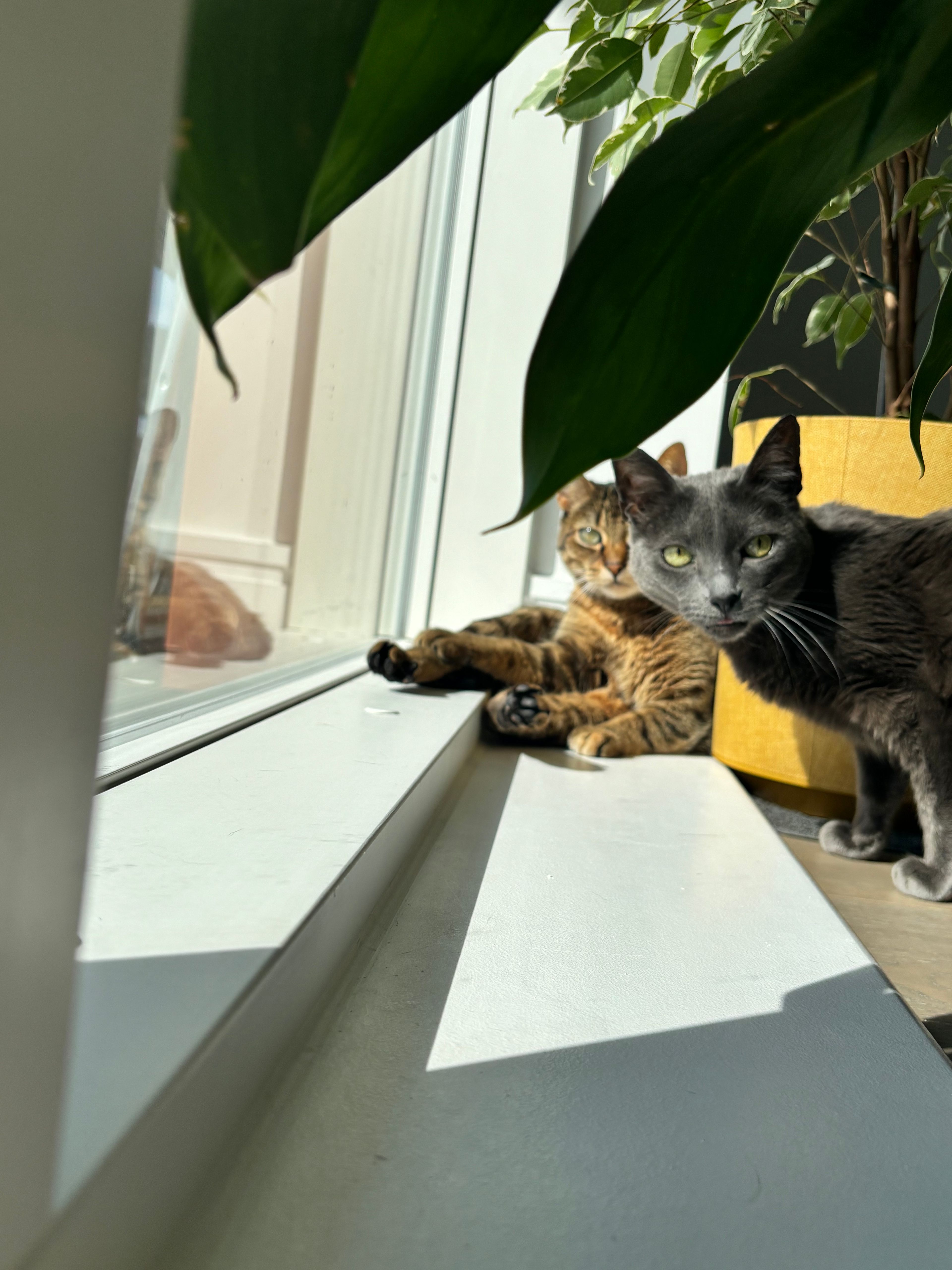 image-9