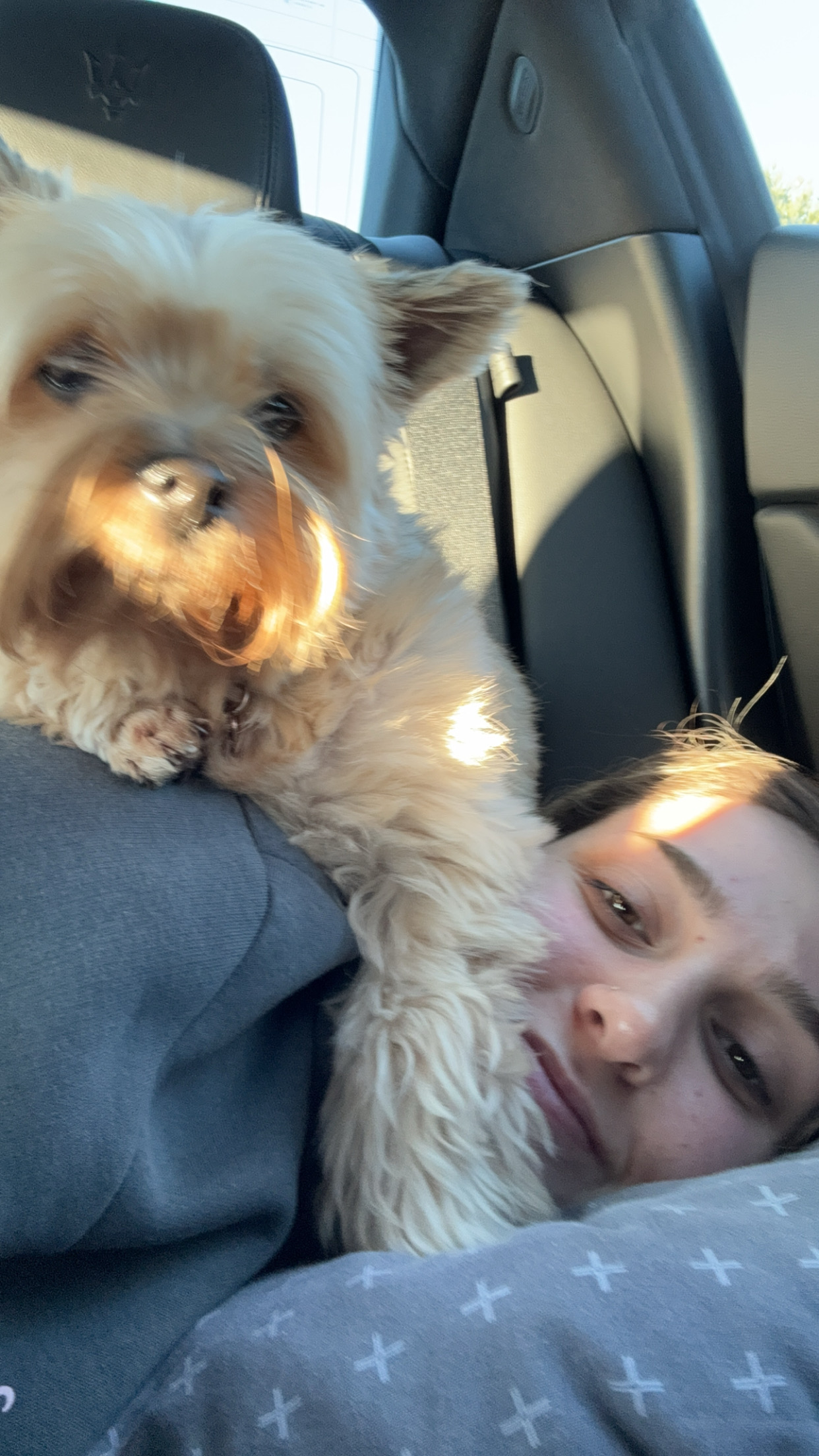 image-9