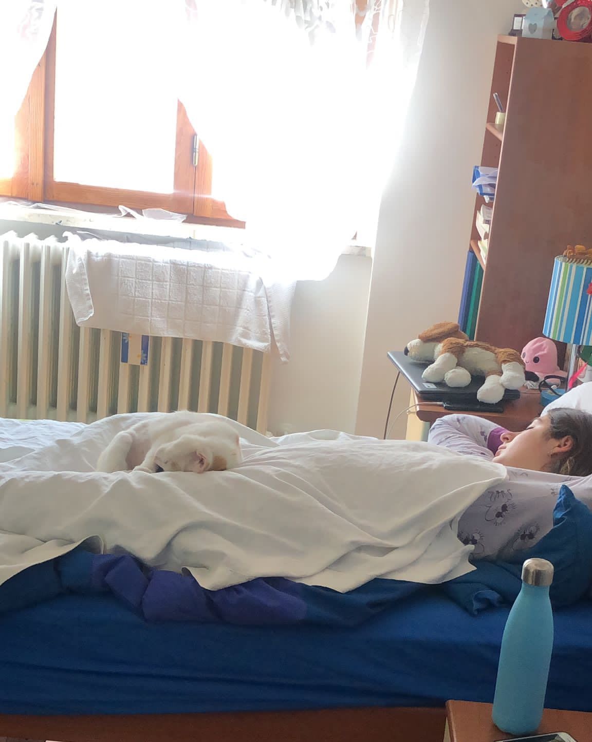 image-5