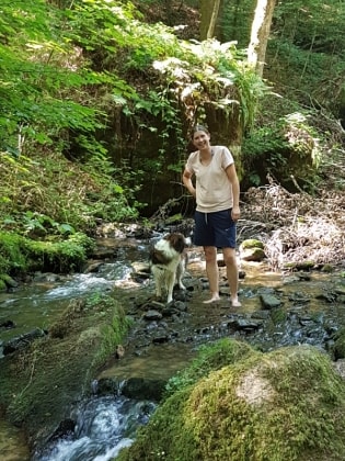 image-6
