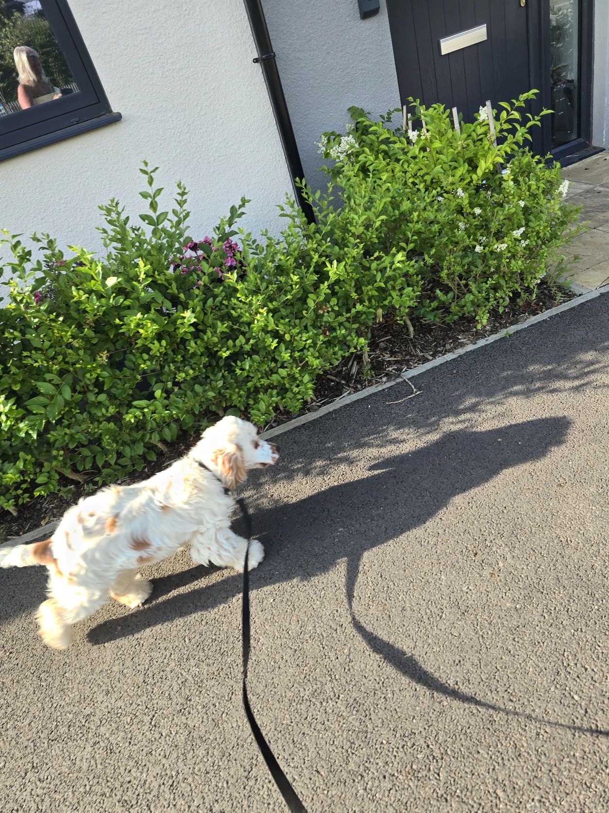 image-7