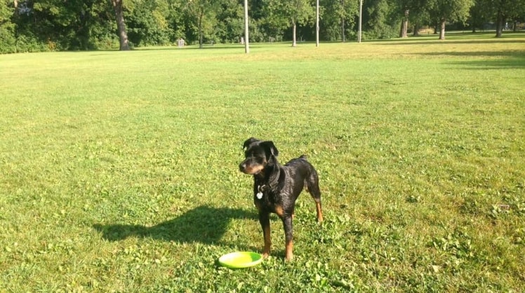 image-5
