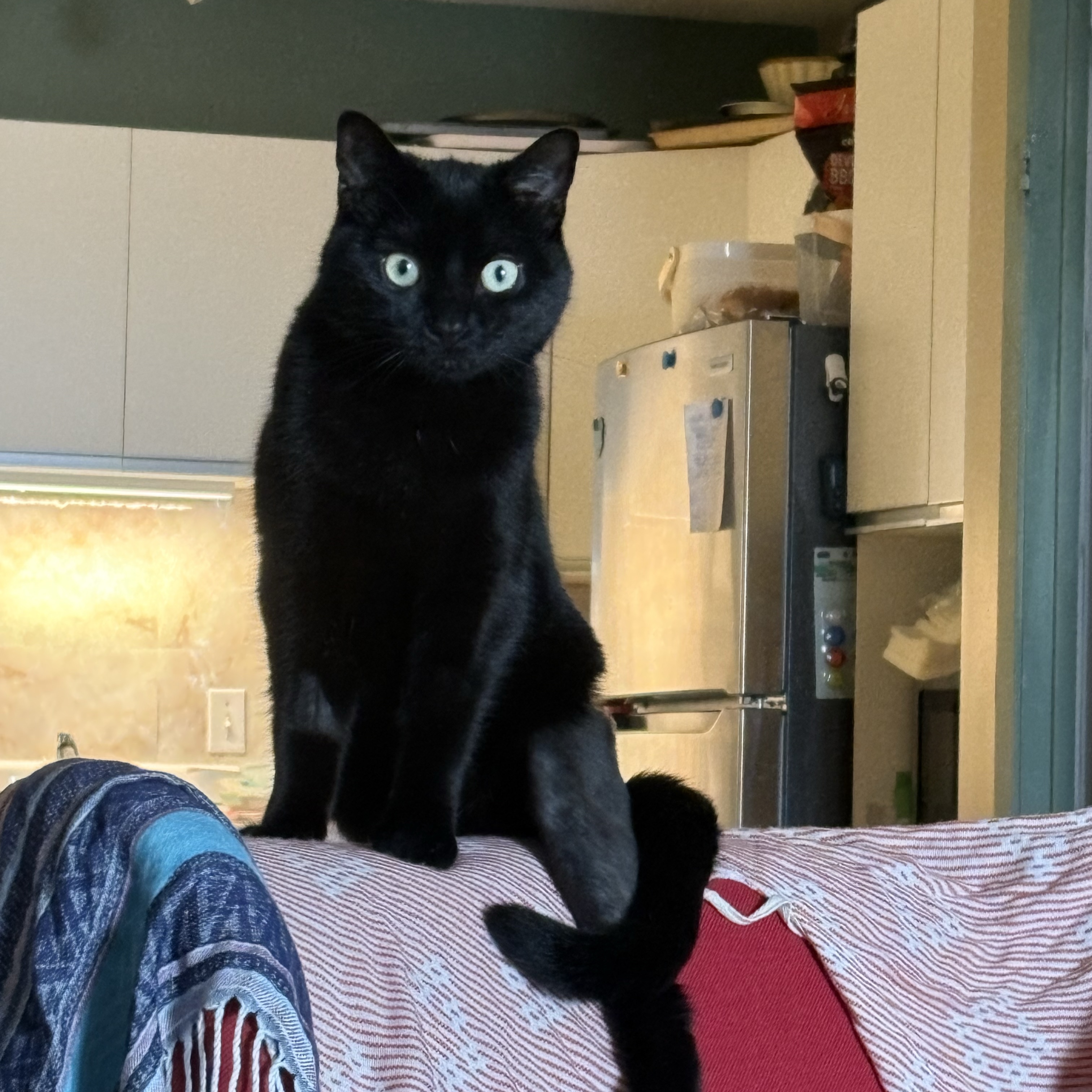 Jack