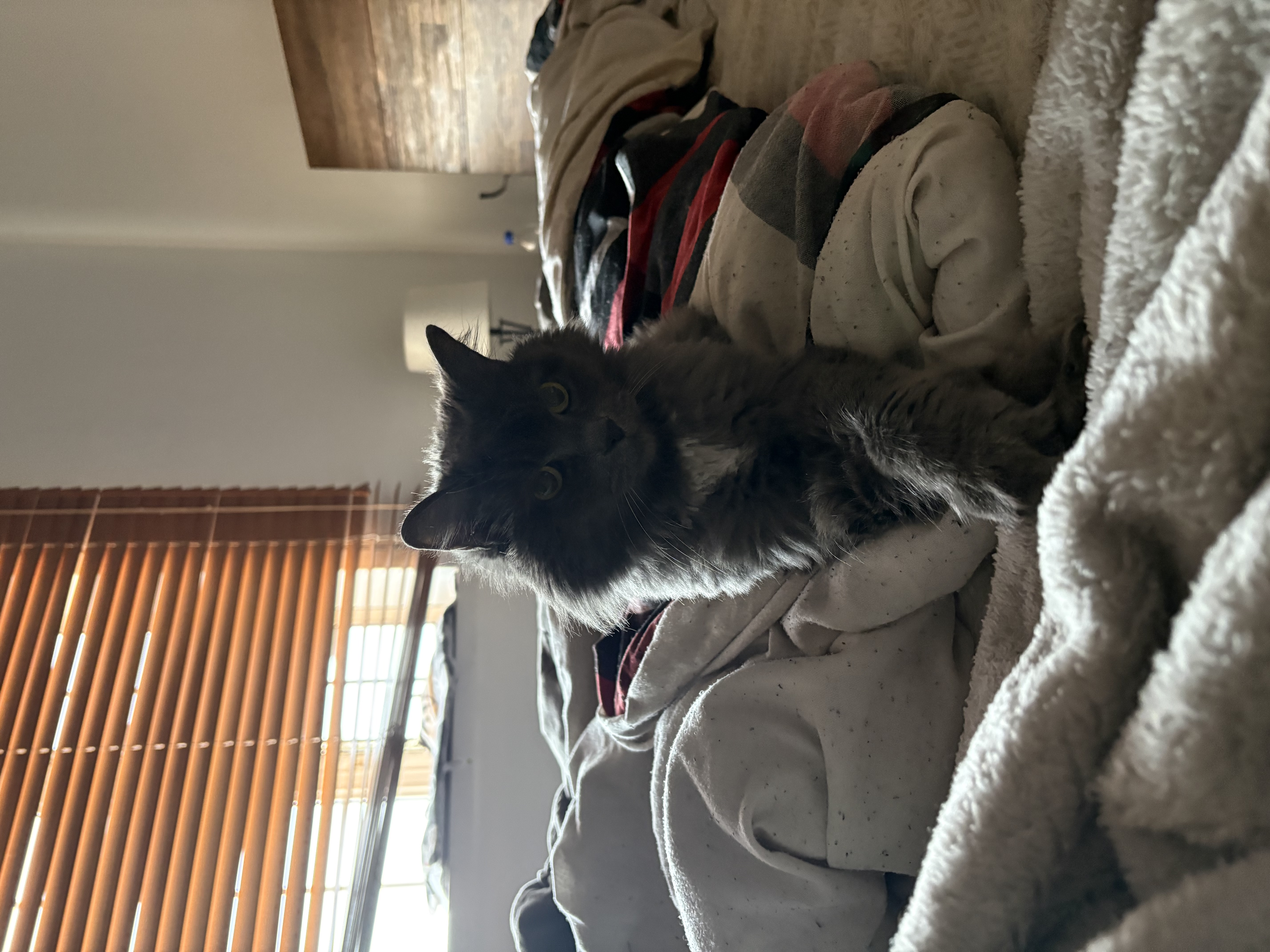 image-16
