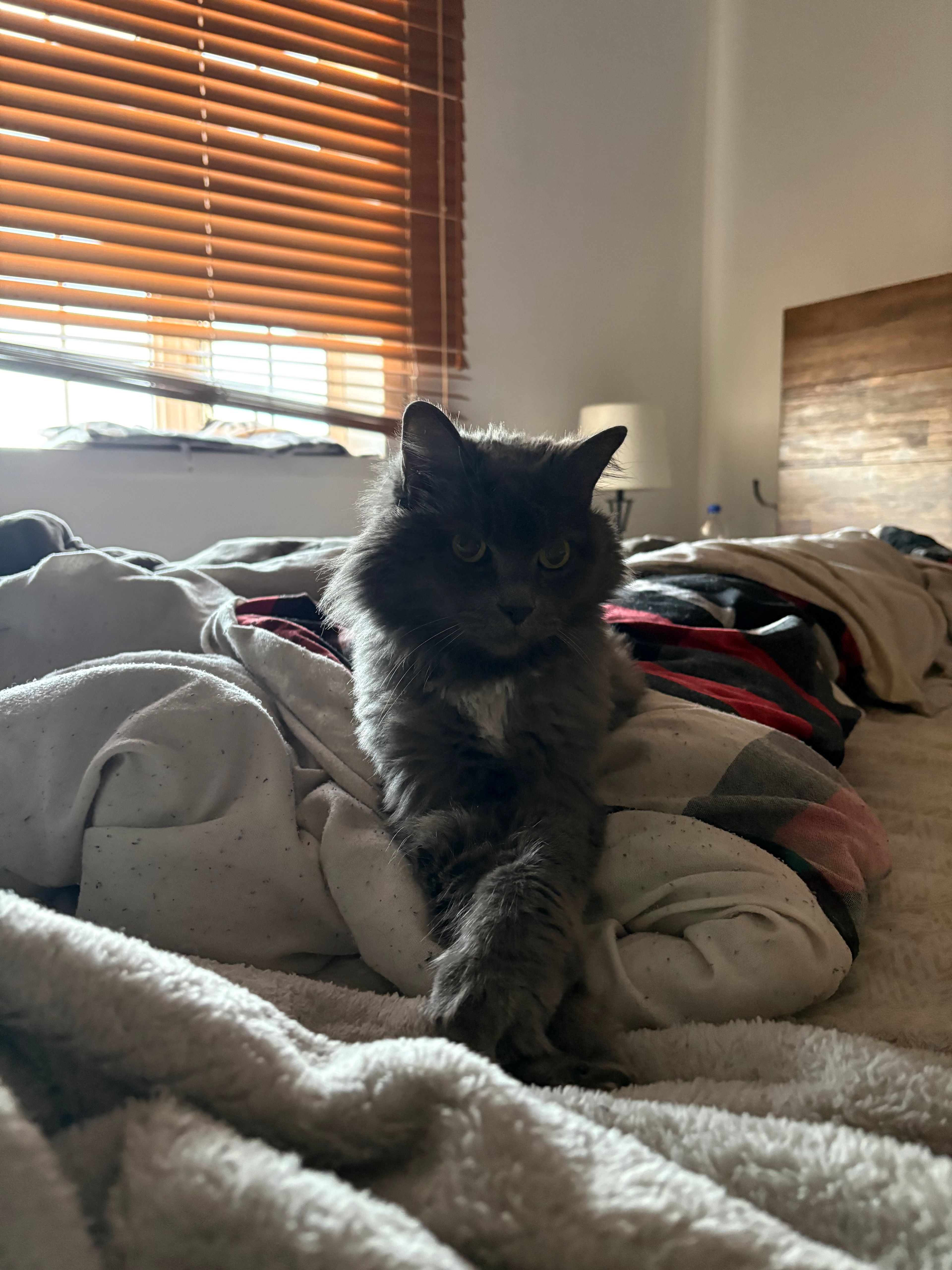 image-16