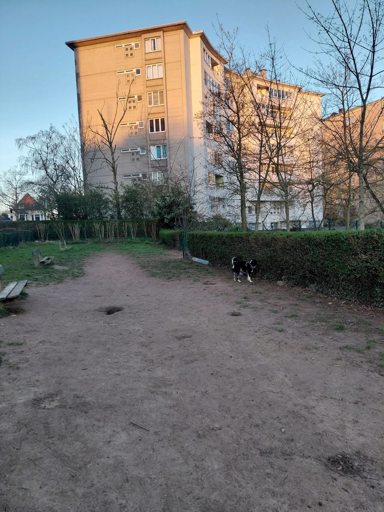 image-18