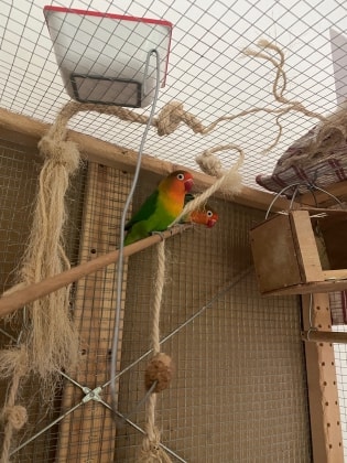 image-7