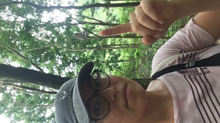 image-1