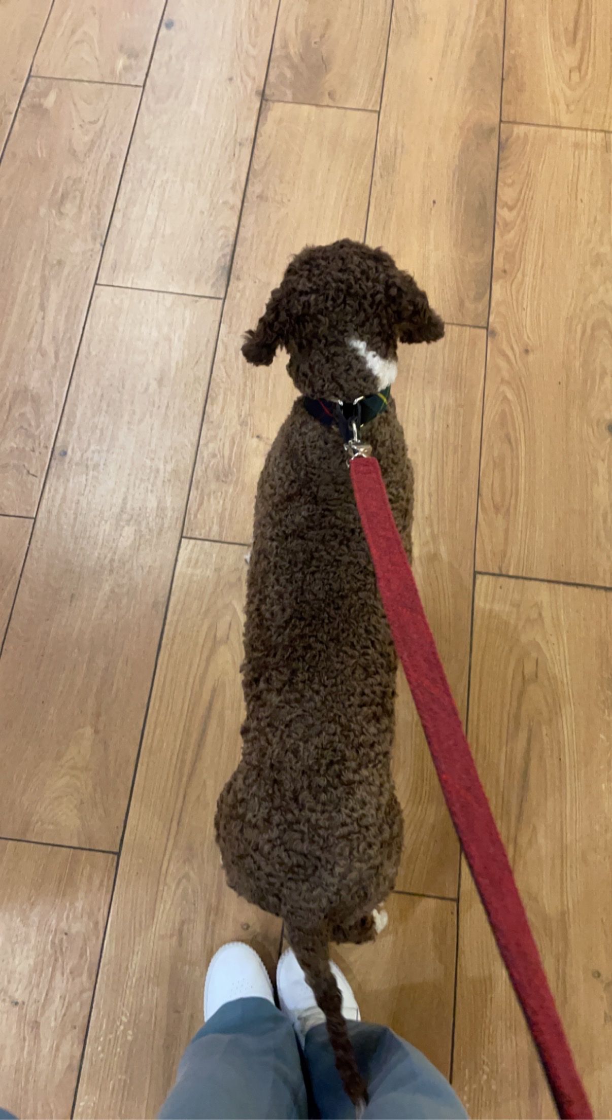 image-9