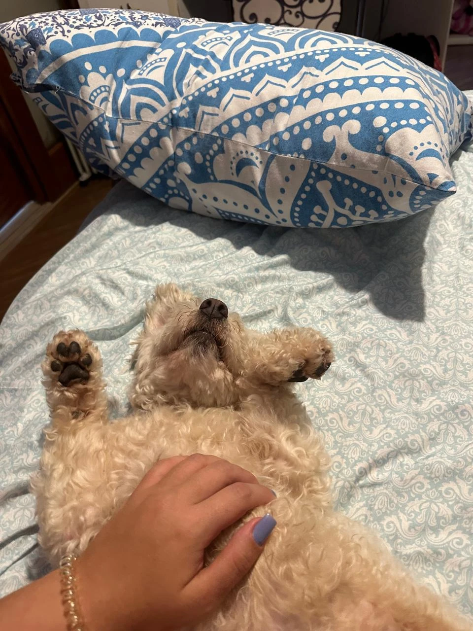 image-7