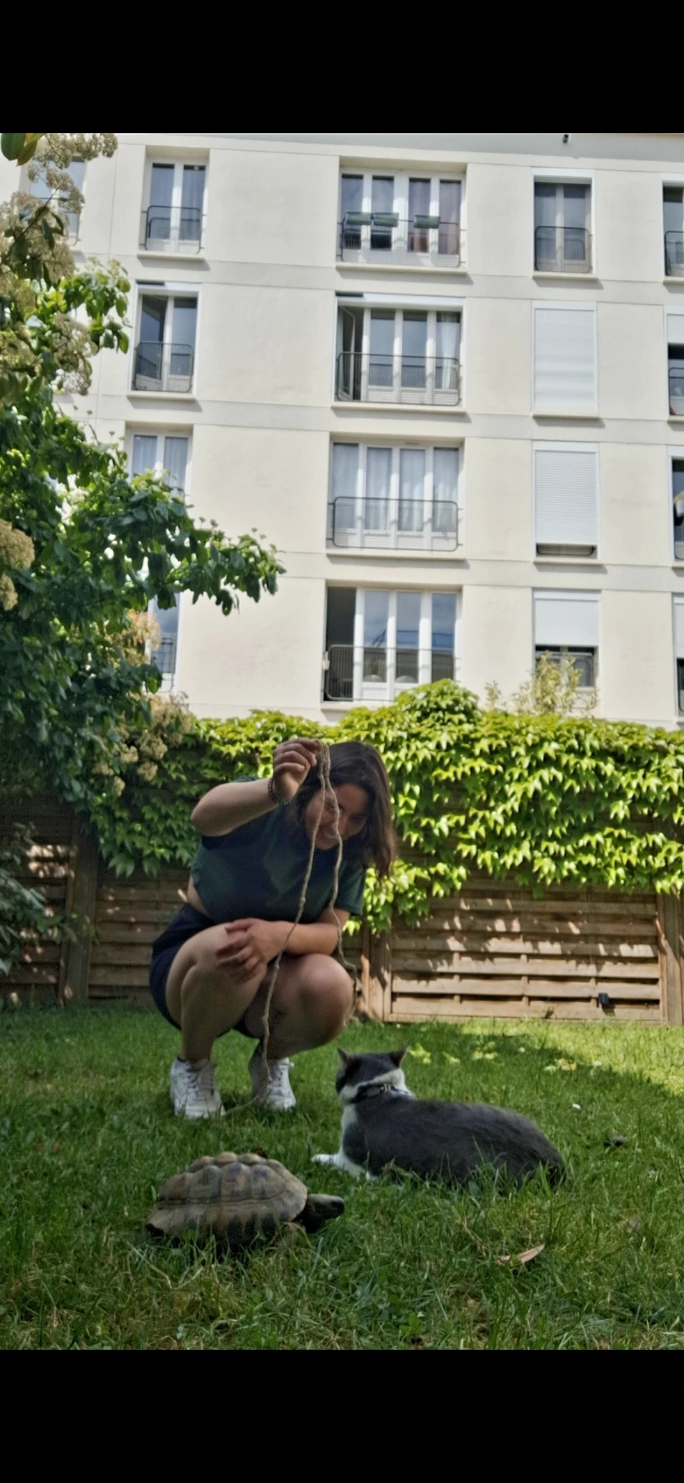 image-6