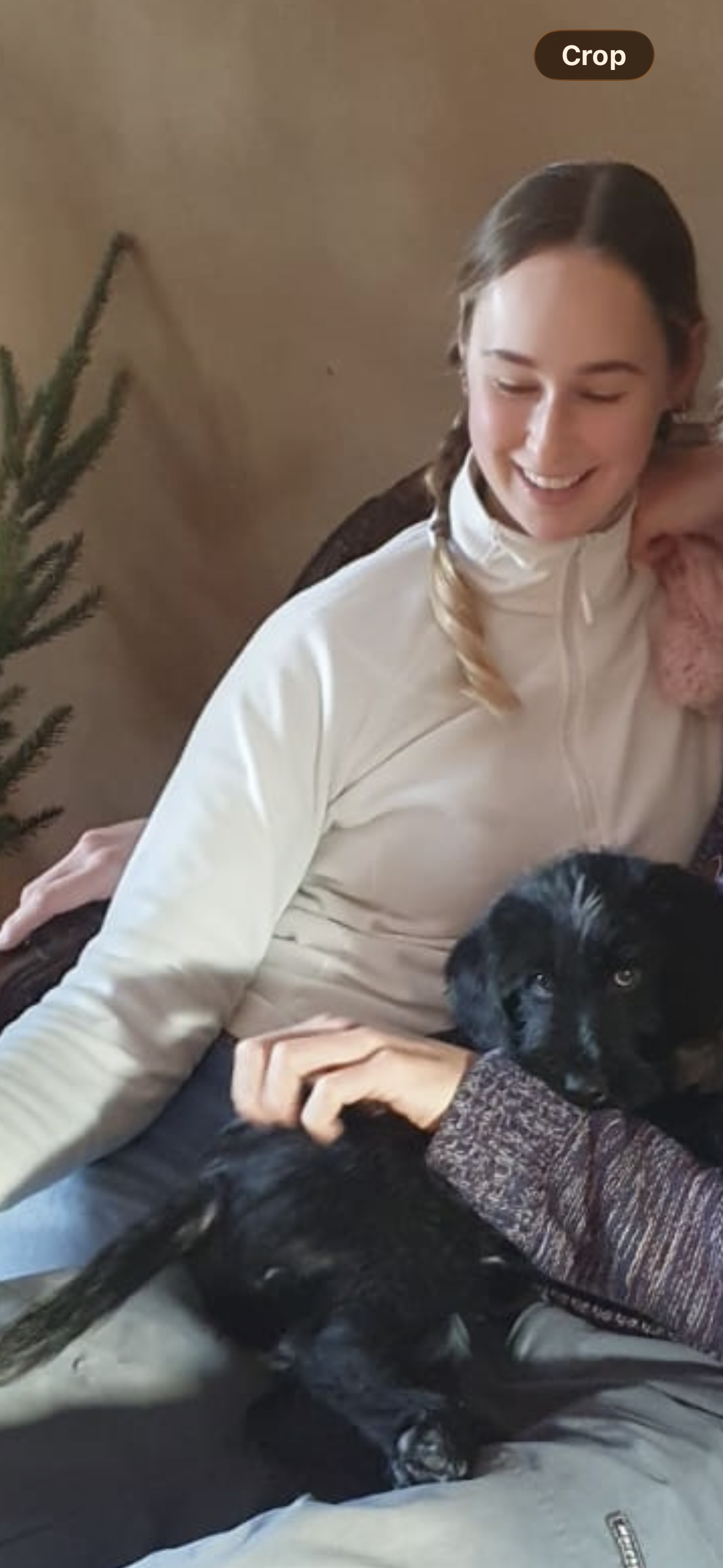 image-6