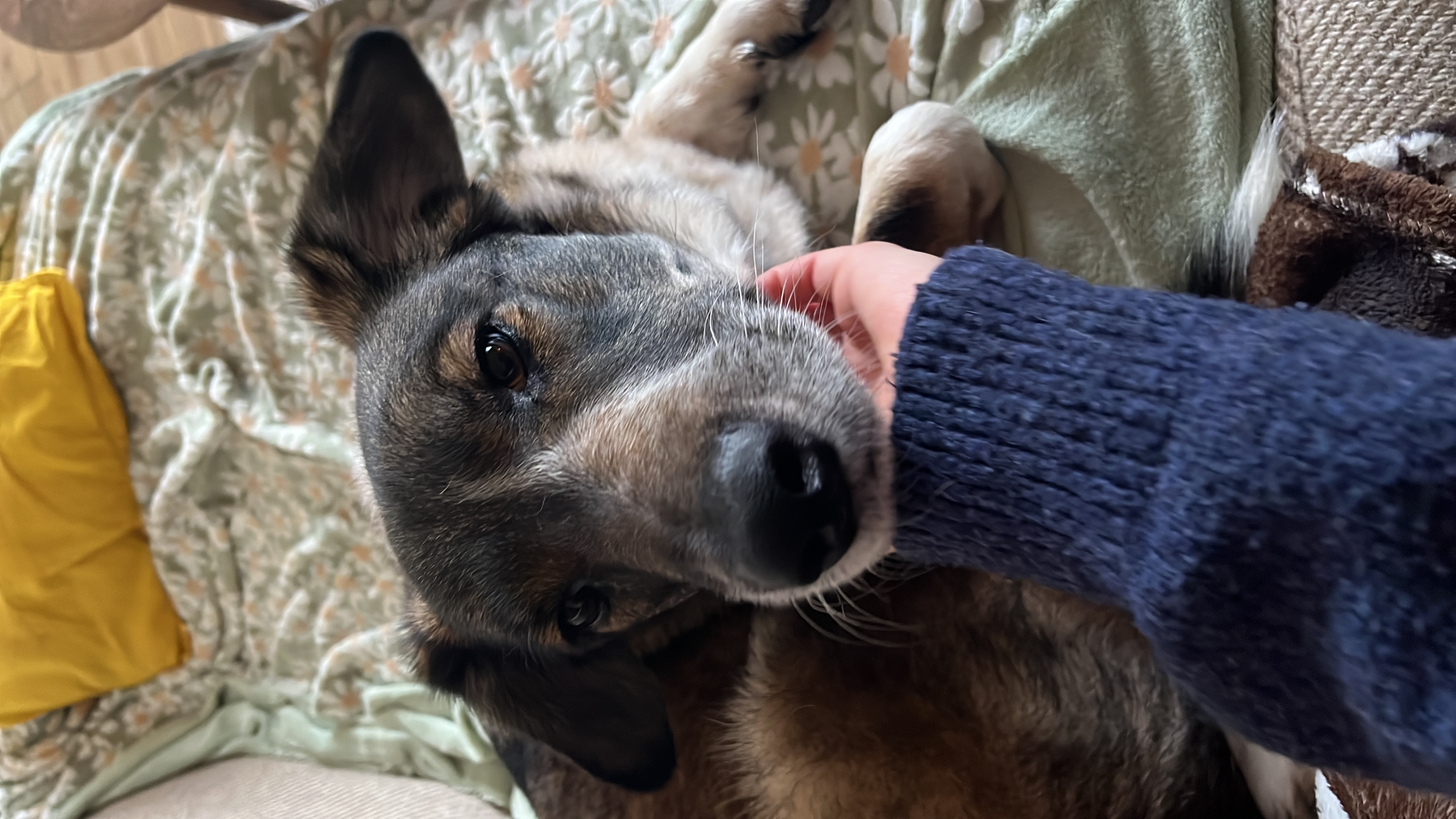 image-6