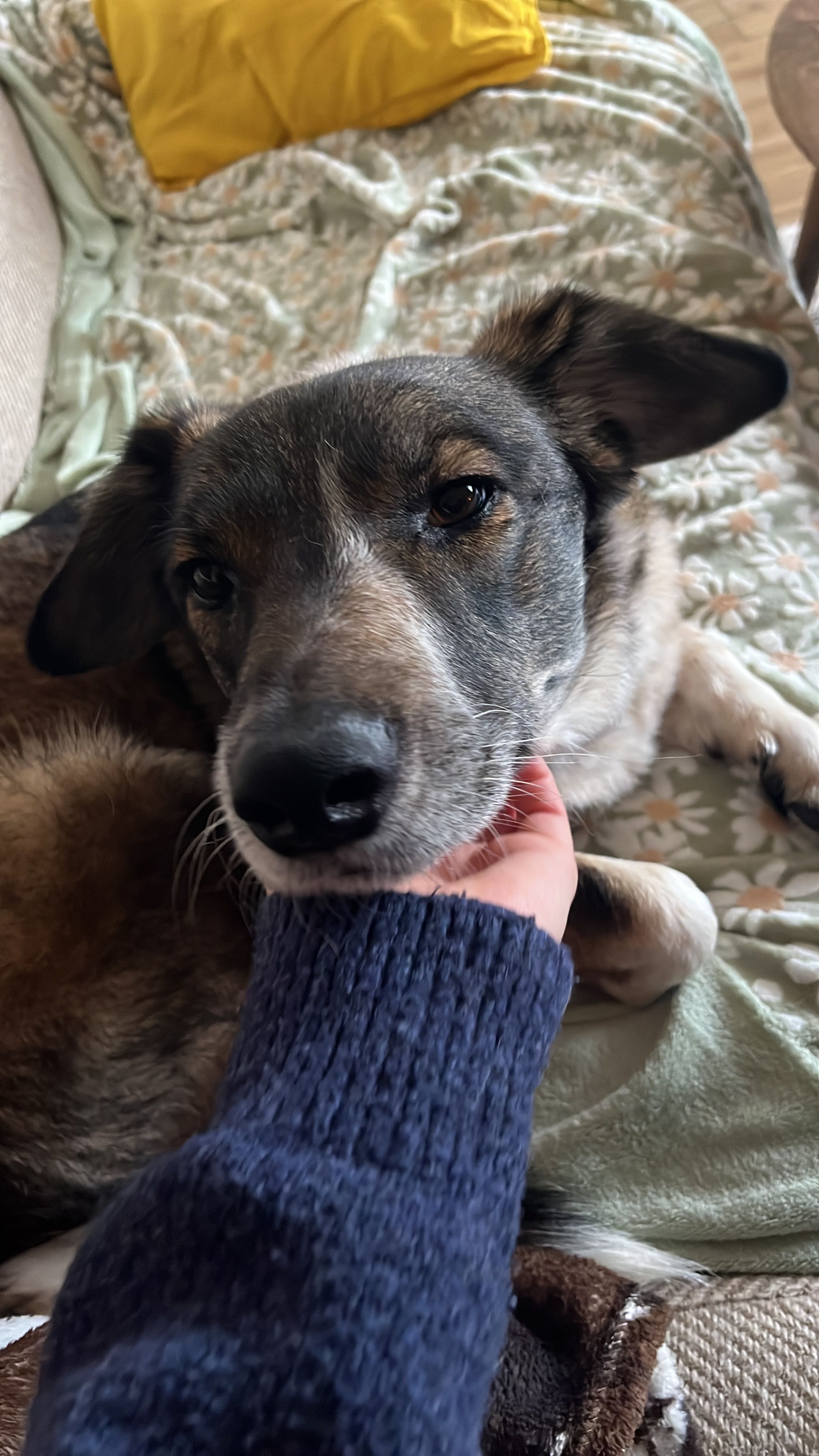 image-6