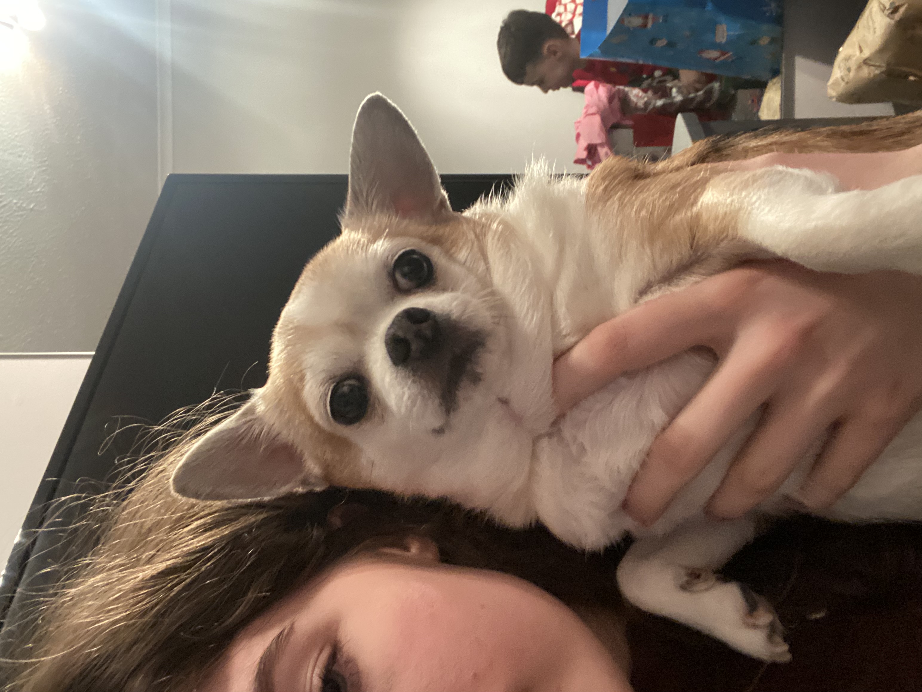 image-10