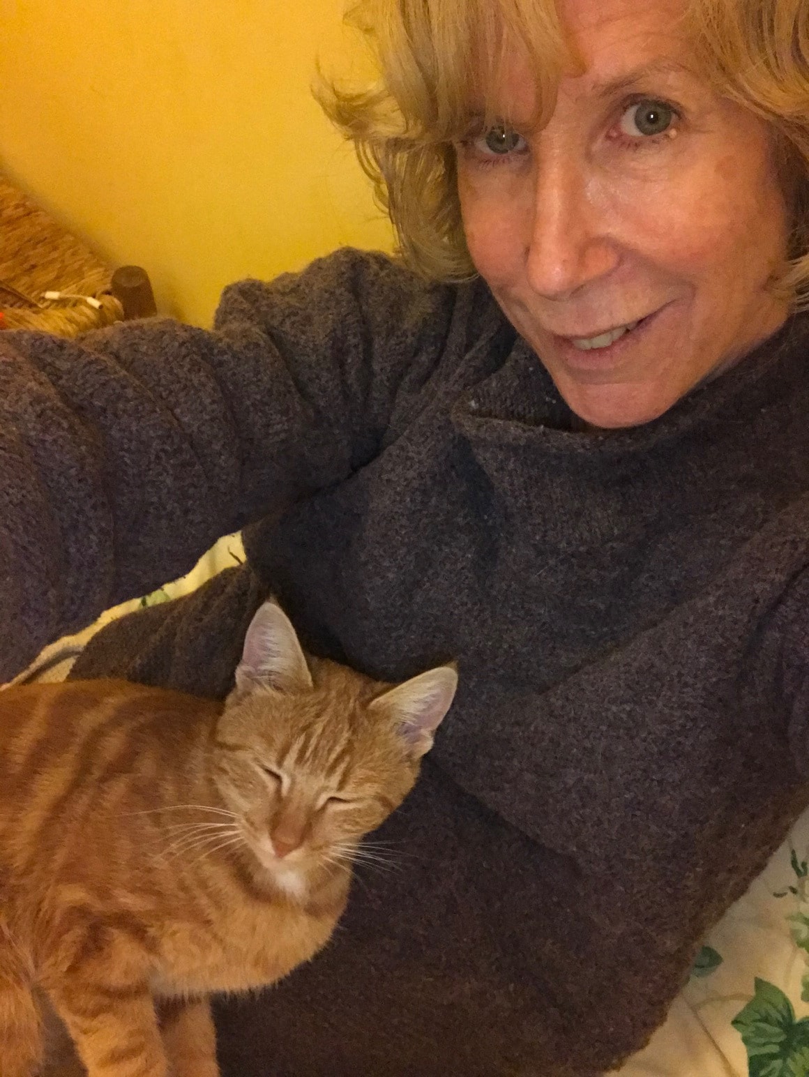 image-0