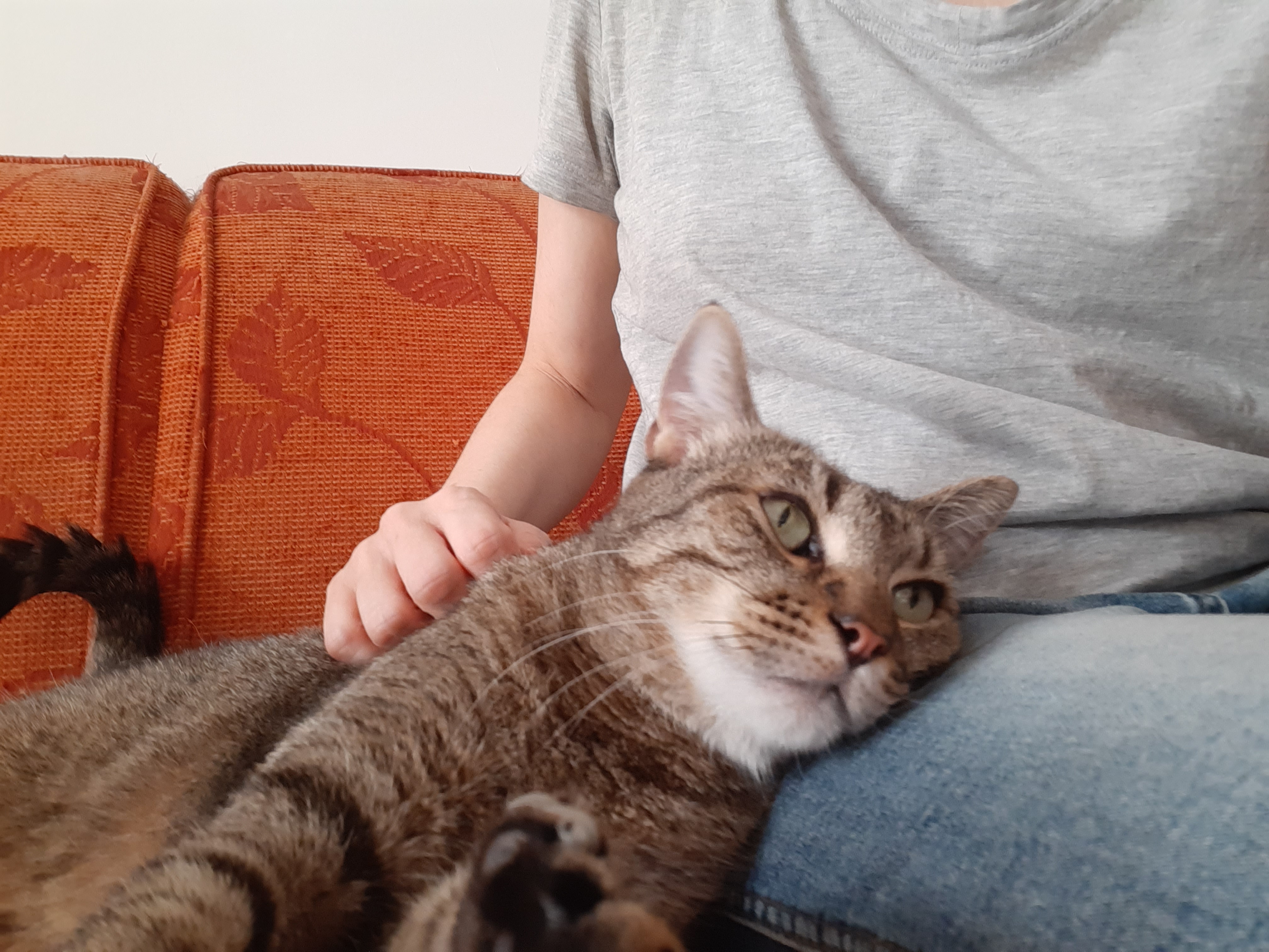 image-7