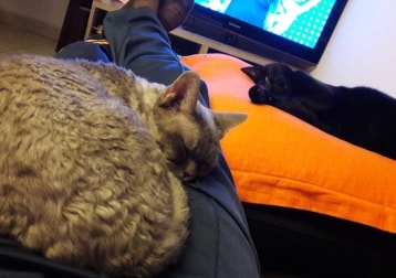 Earine Frida E Sushi