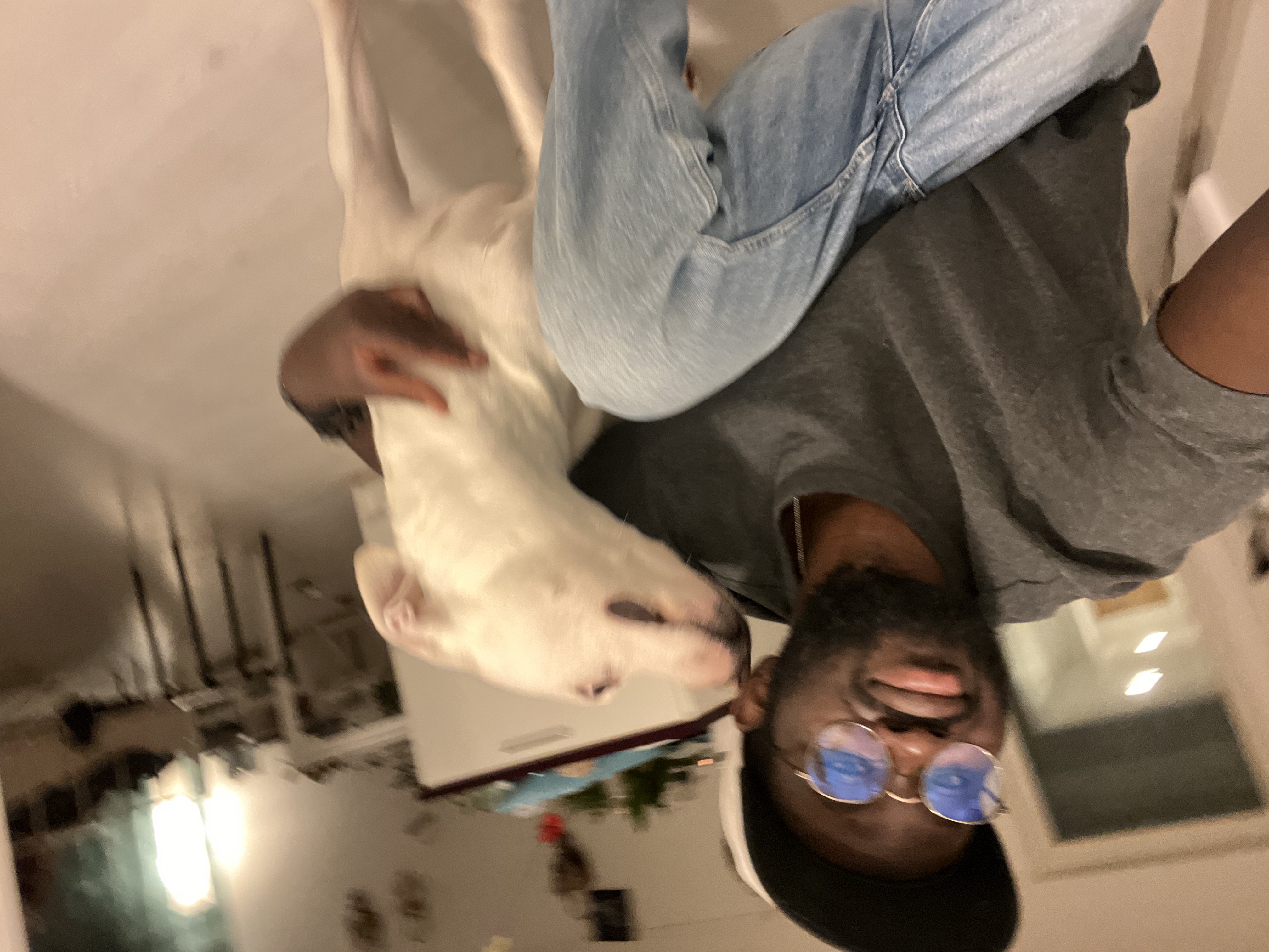 image-8