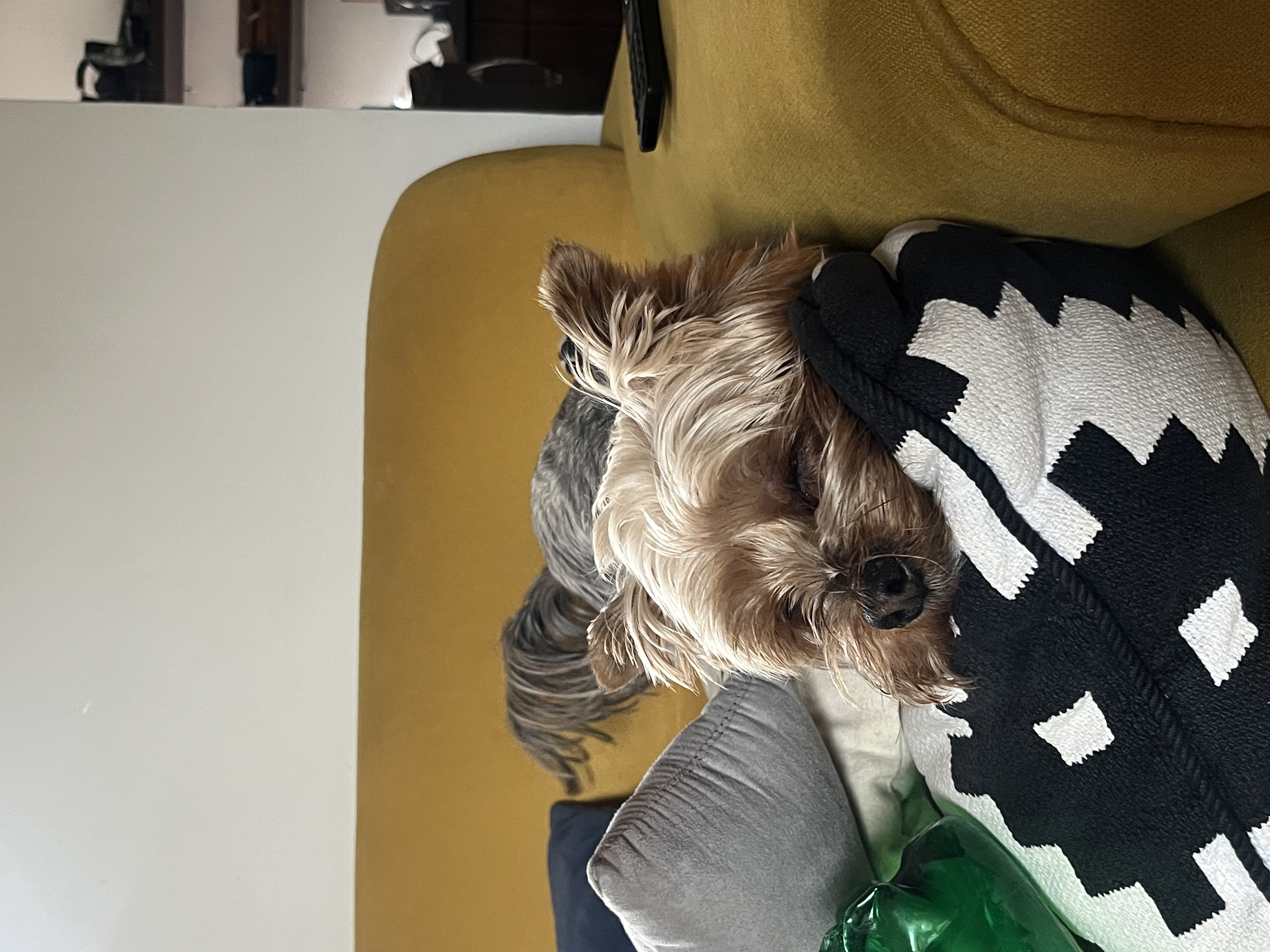 image-6