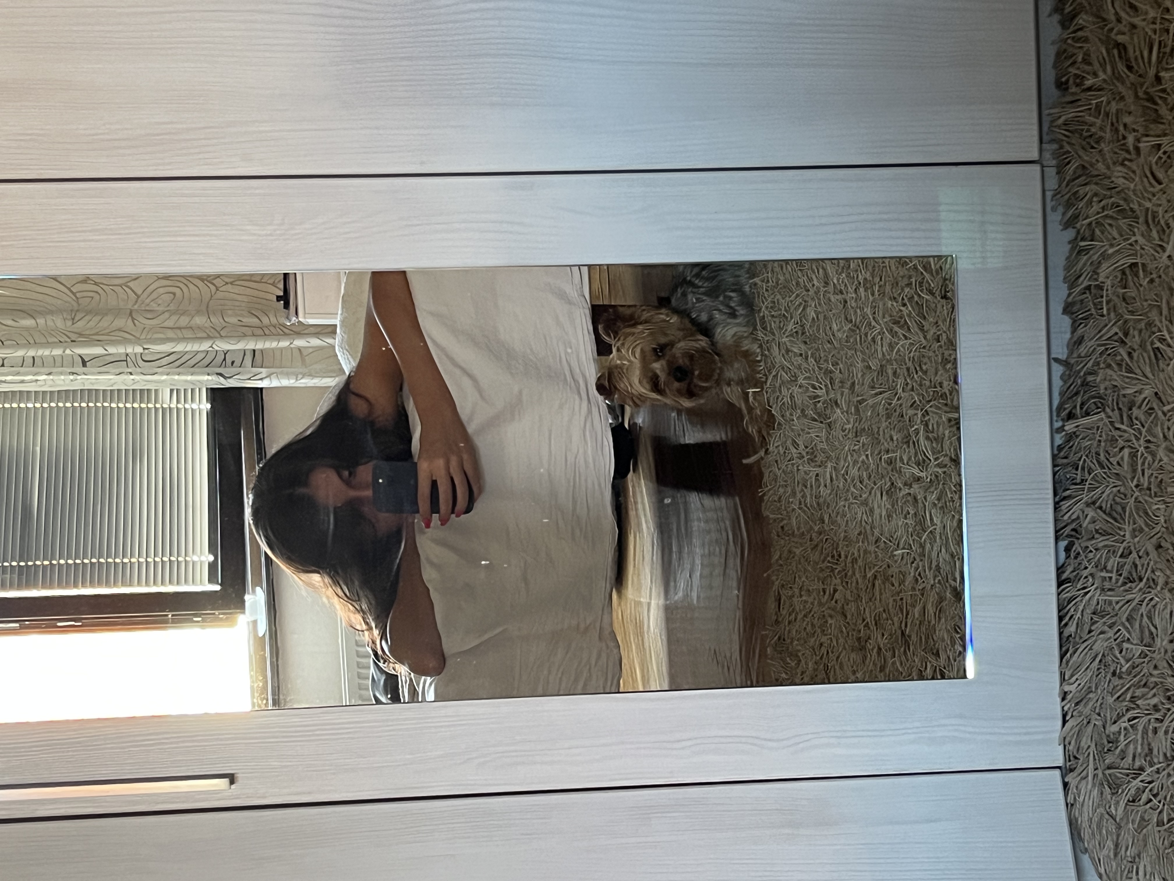 image-7