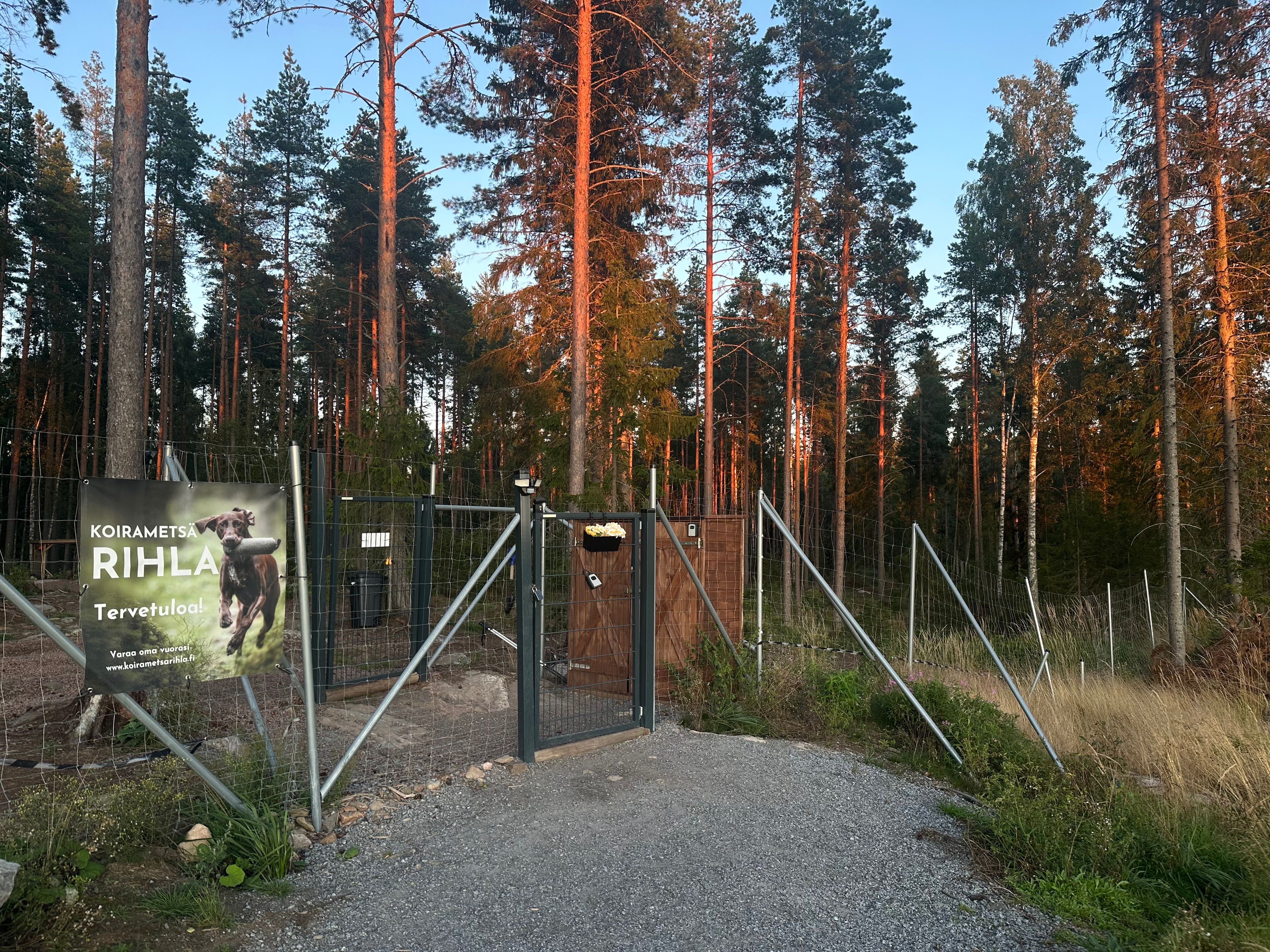 image-18
