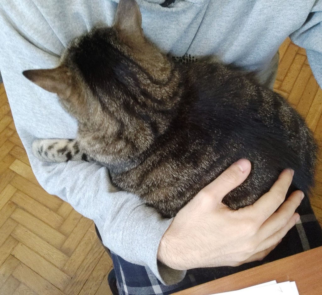image-4