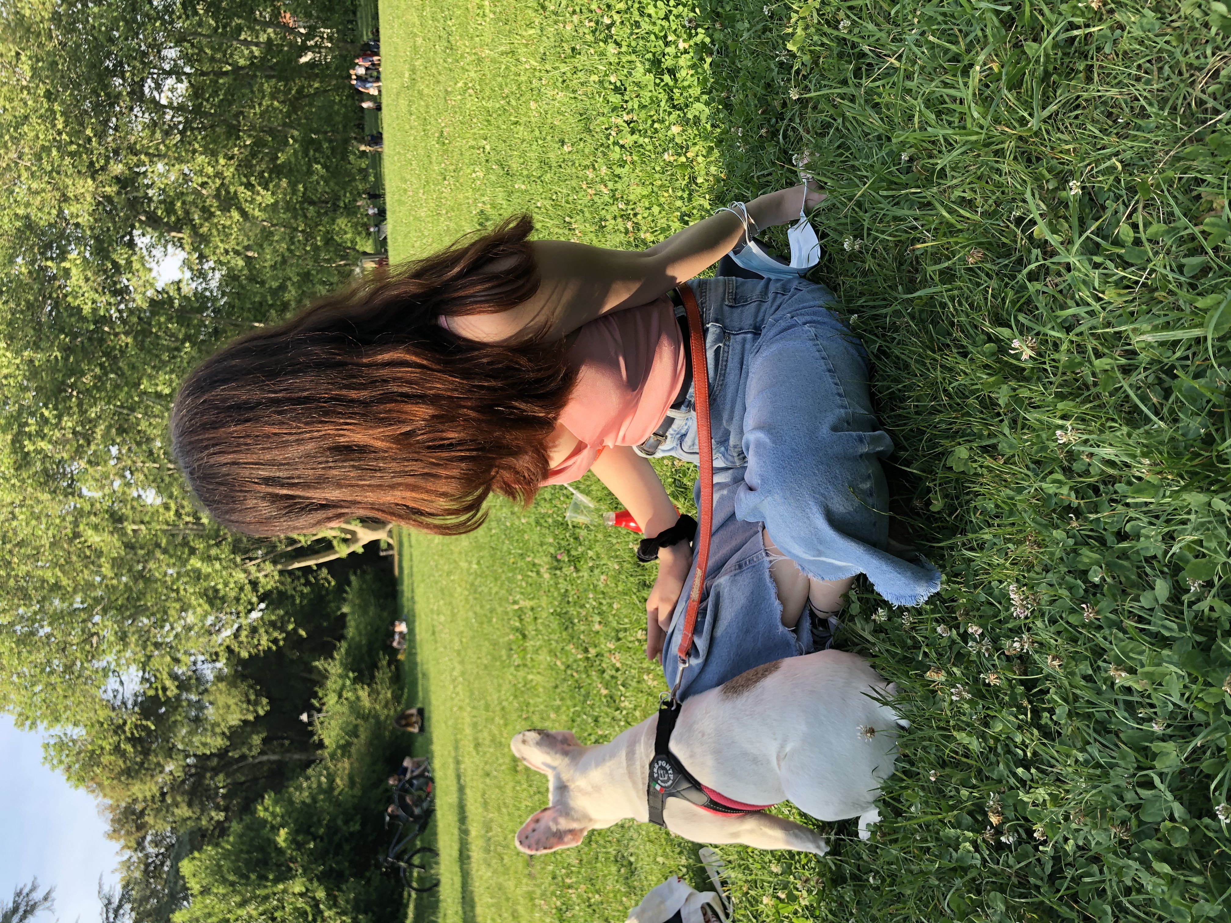 image-4