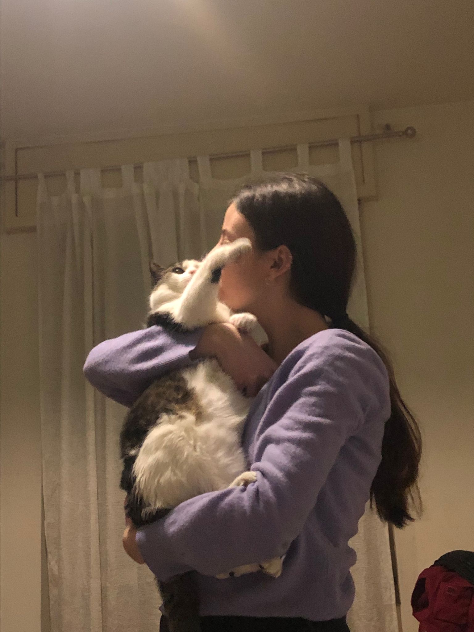 image-6