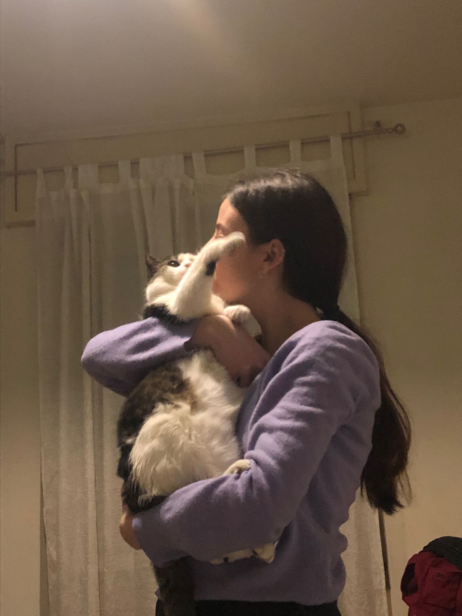 image-6