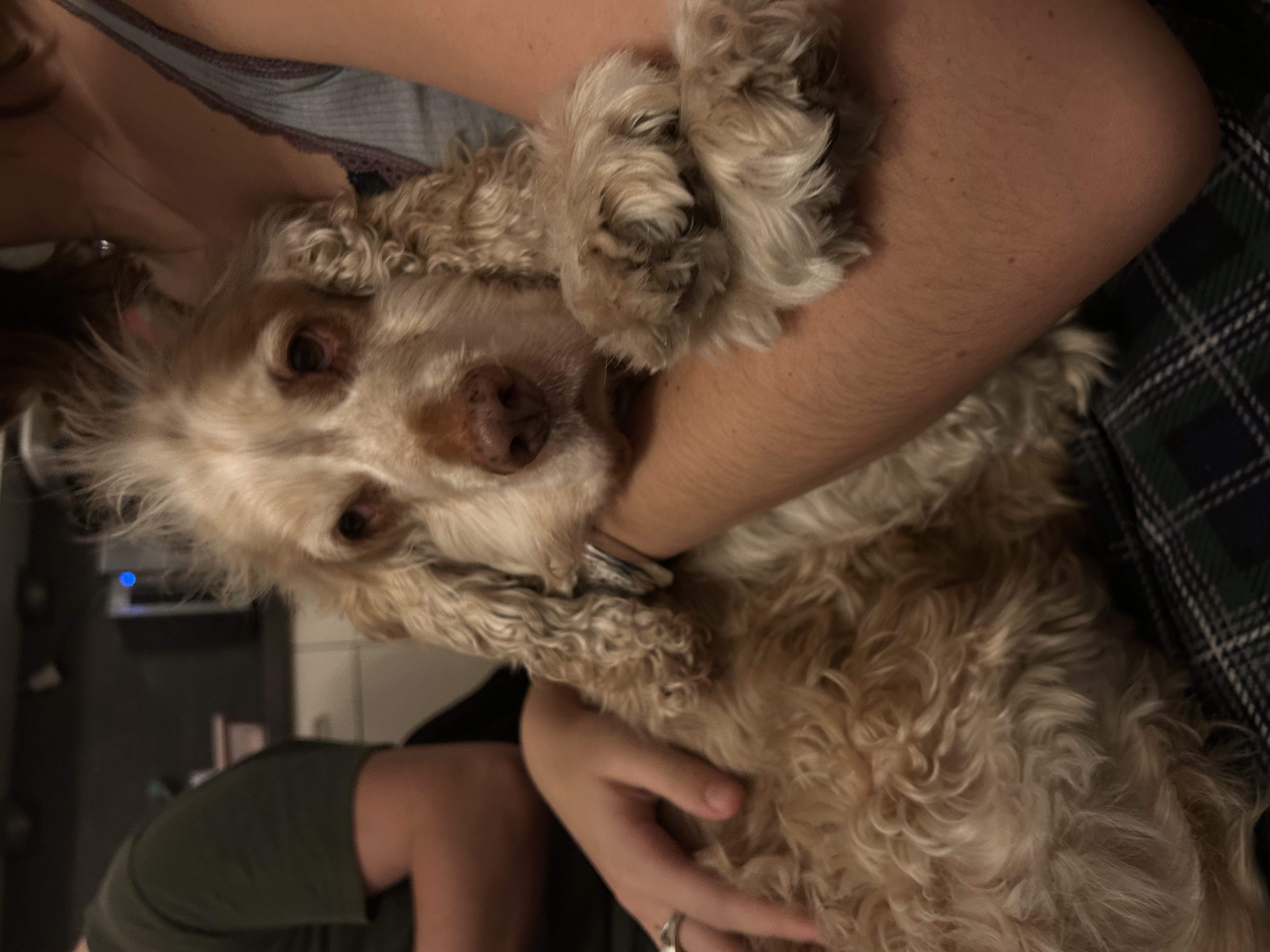 image-5