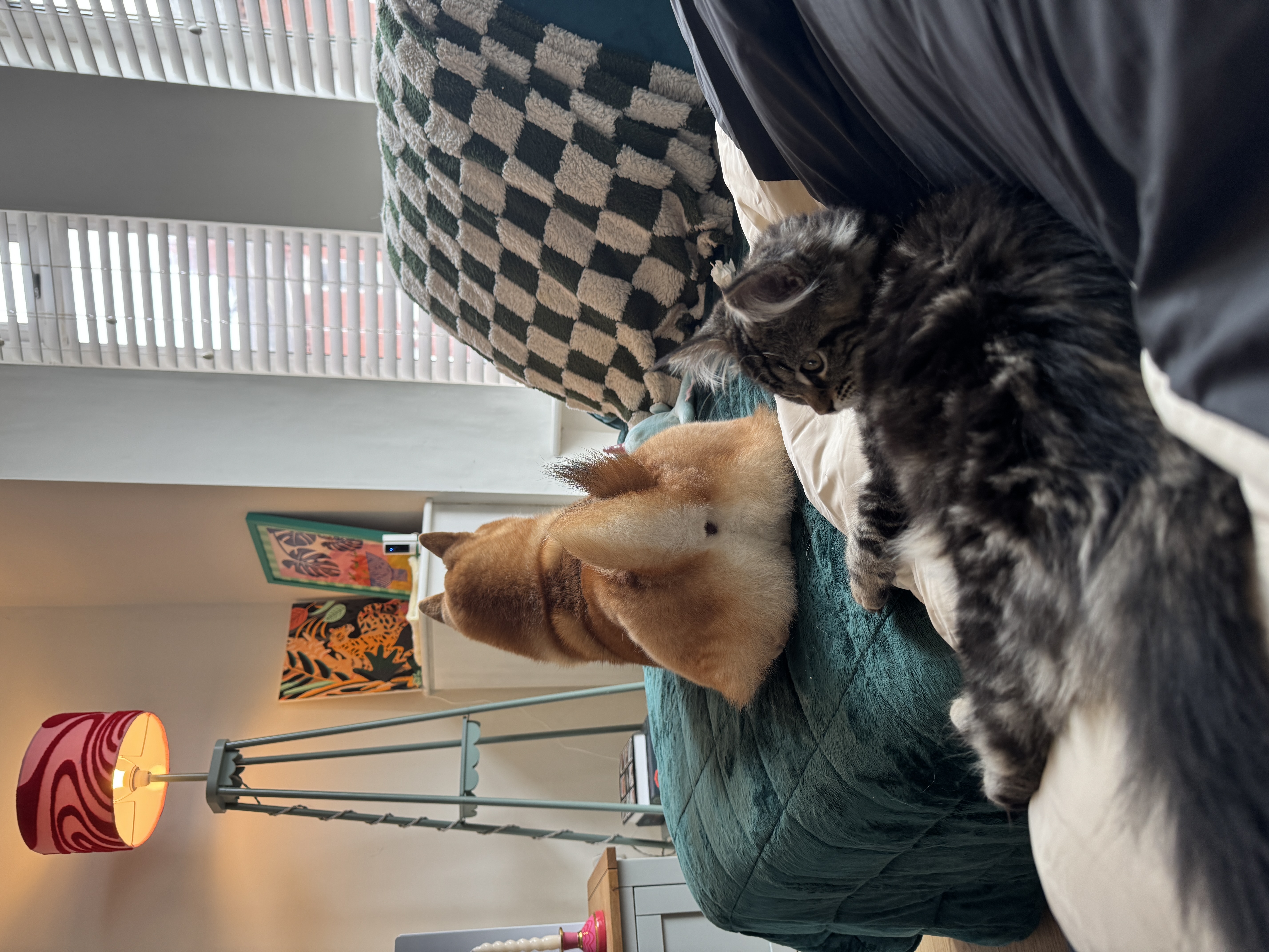 image-15