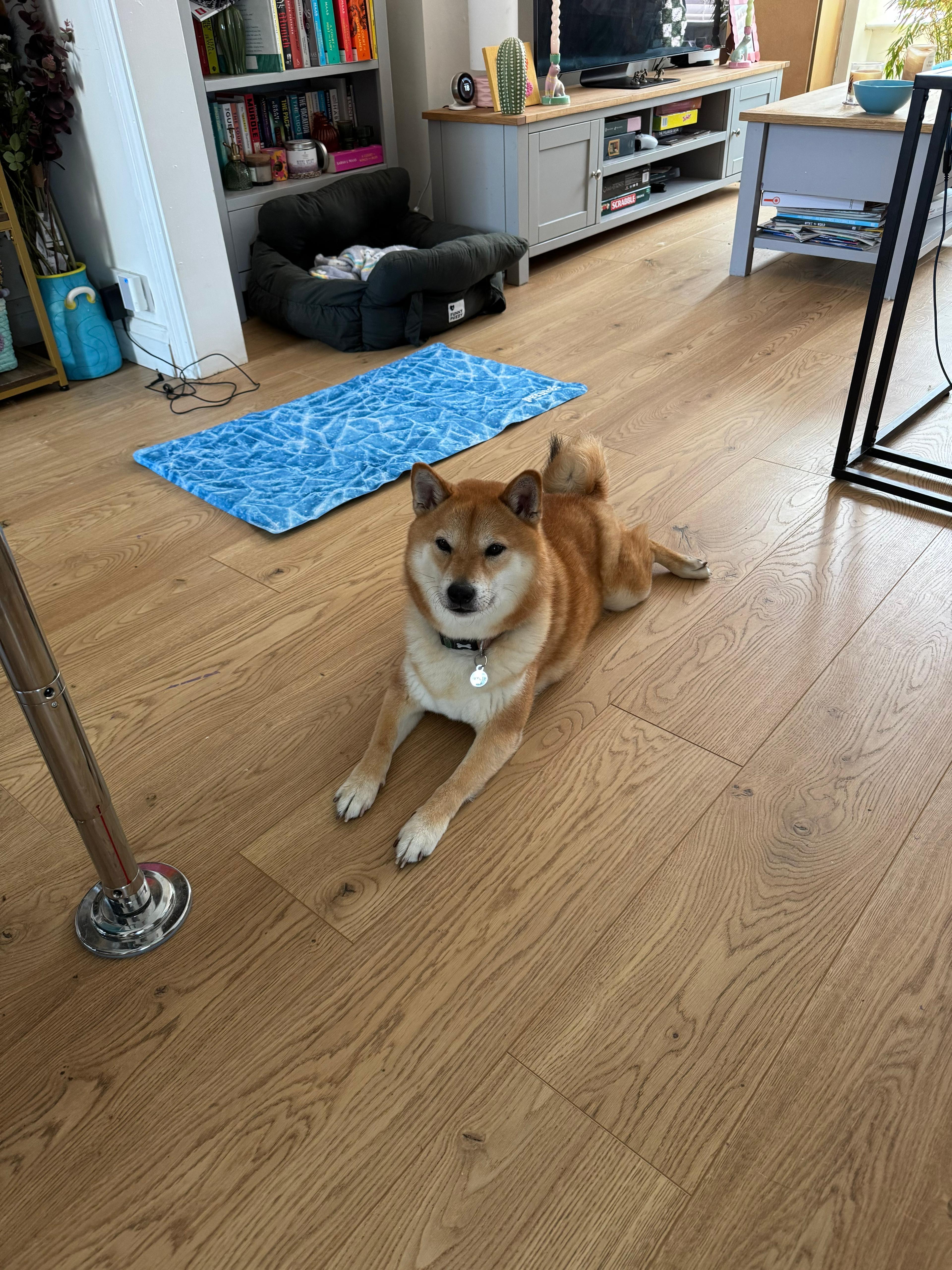 image-17