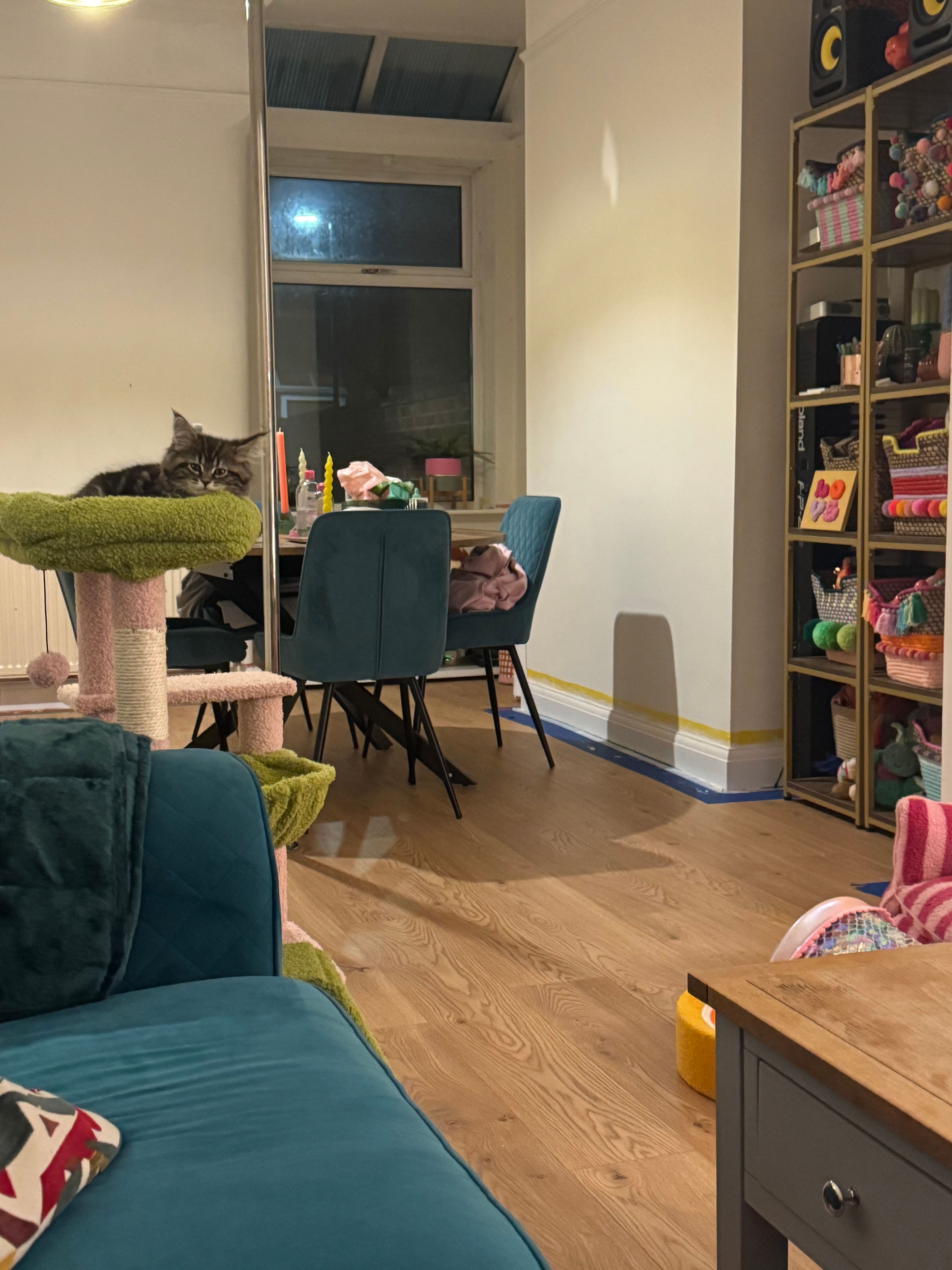 image-13