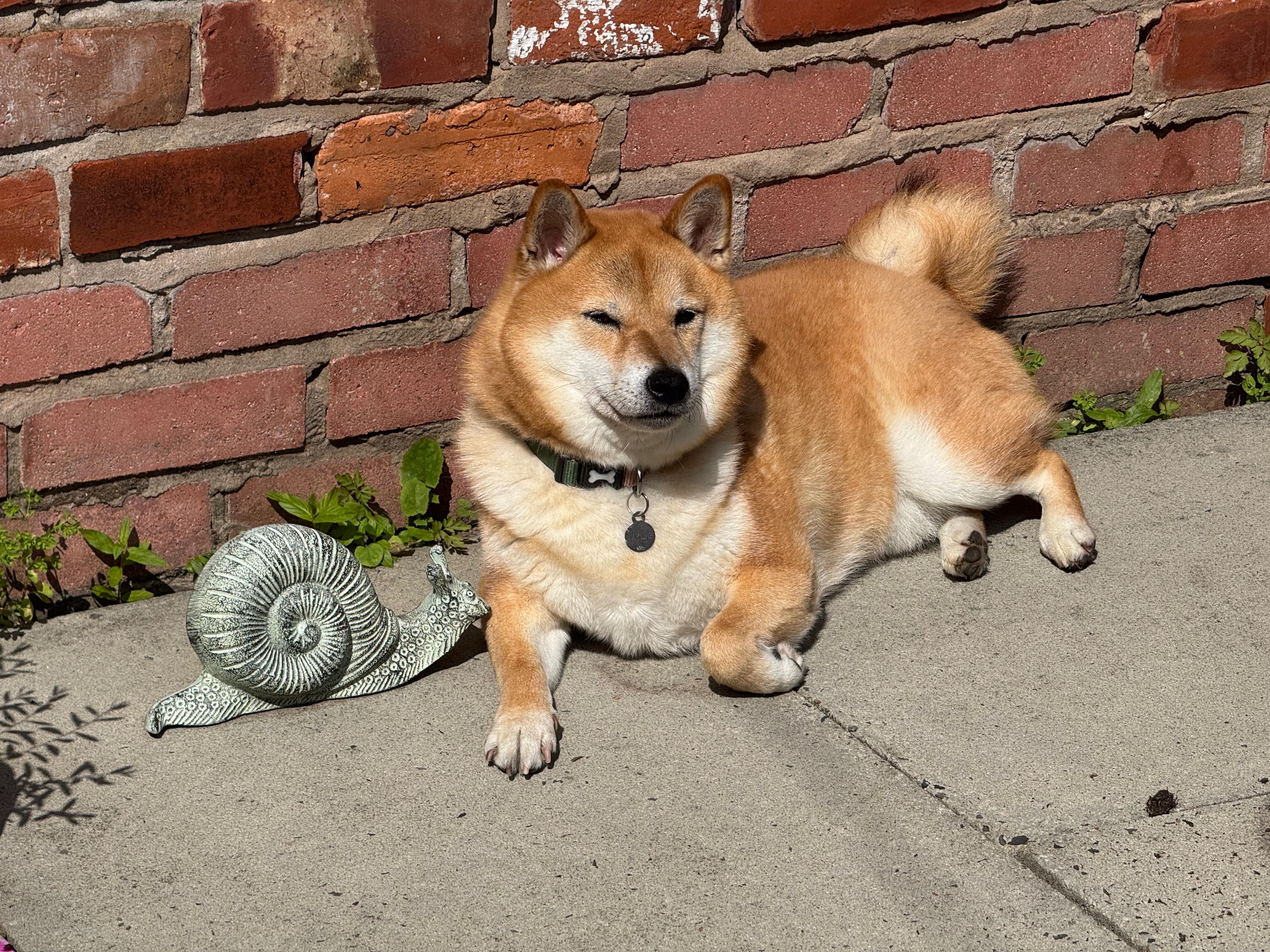 image-18
