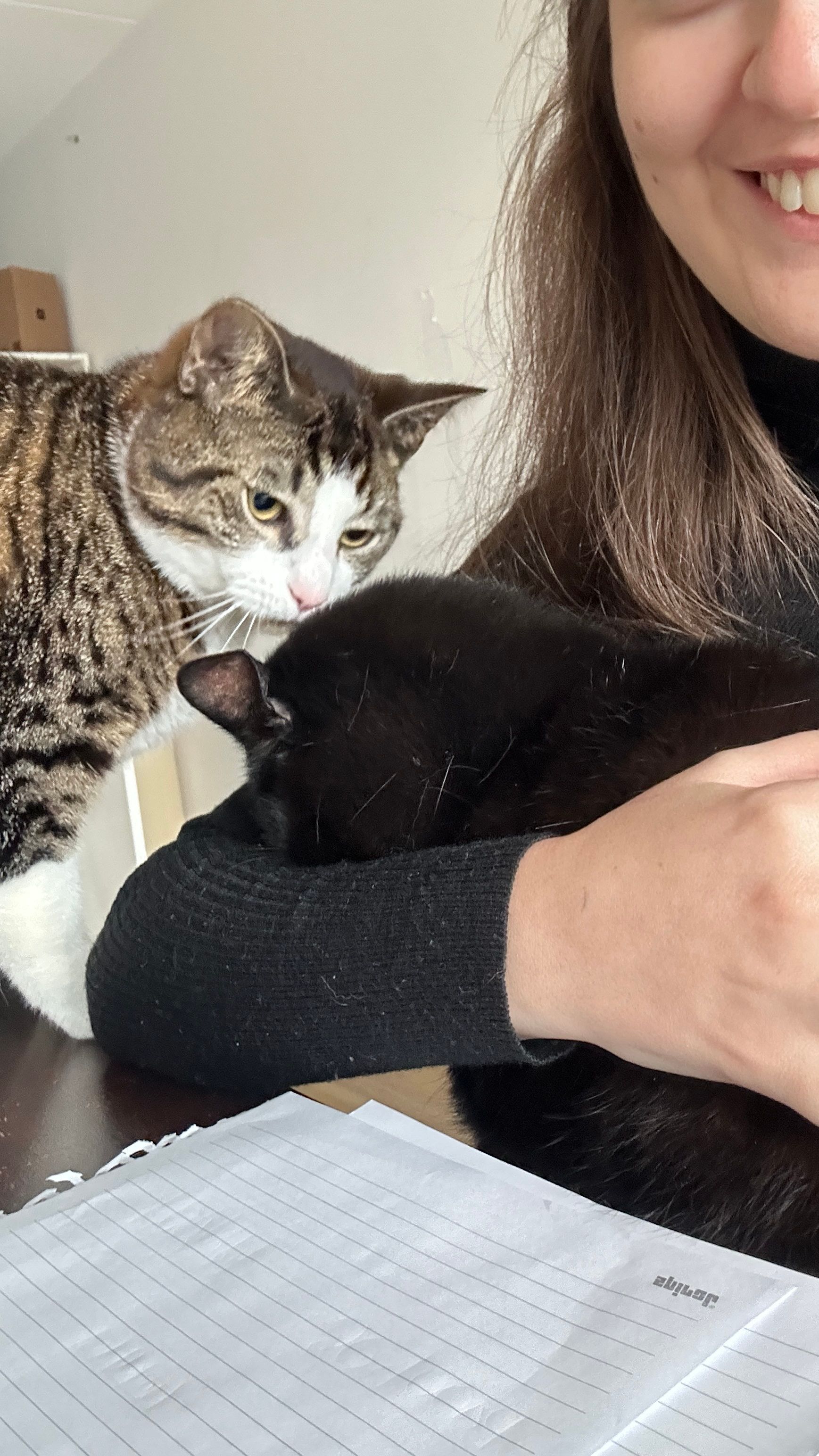 image-6