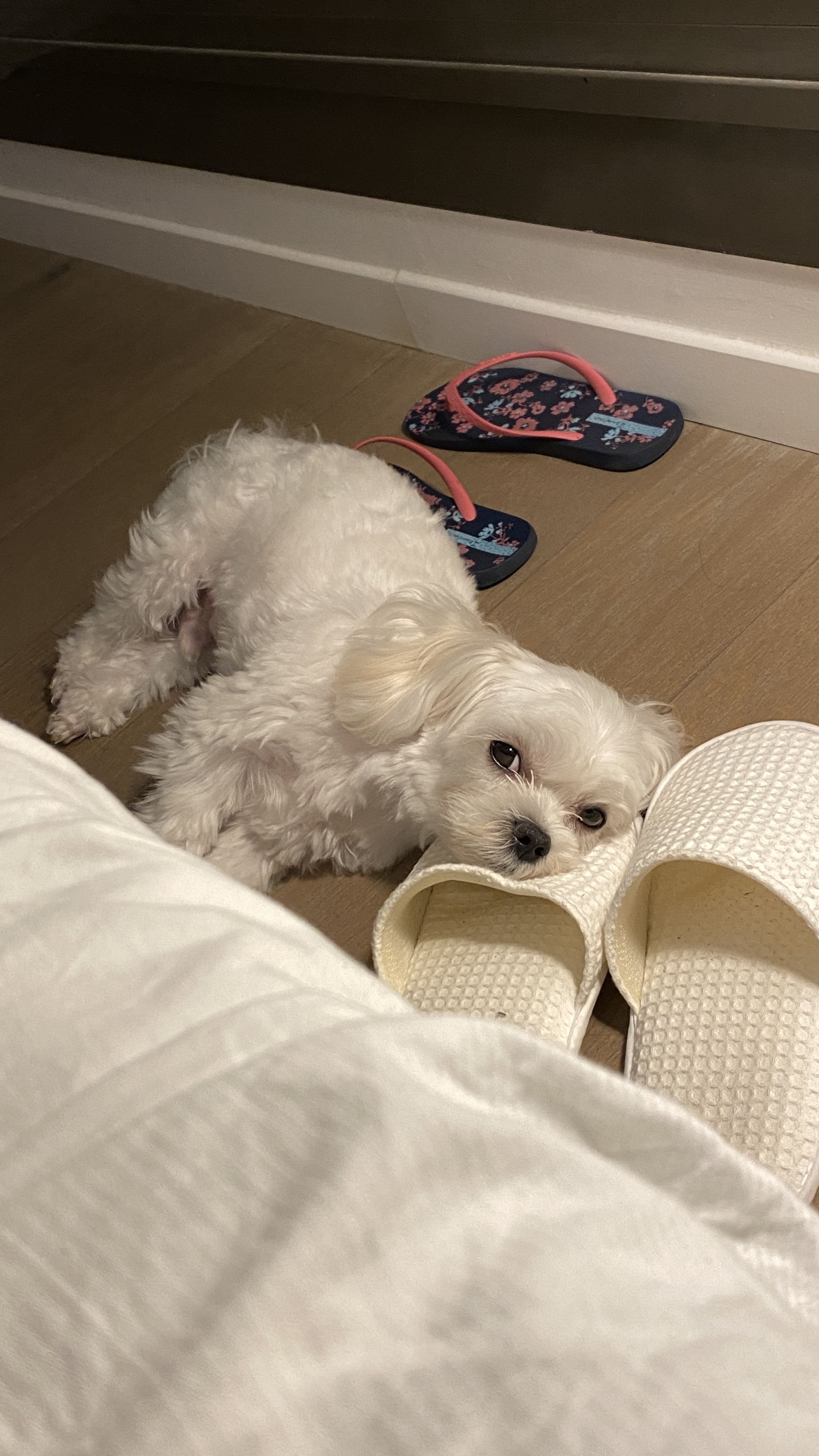 image-13