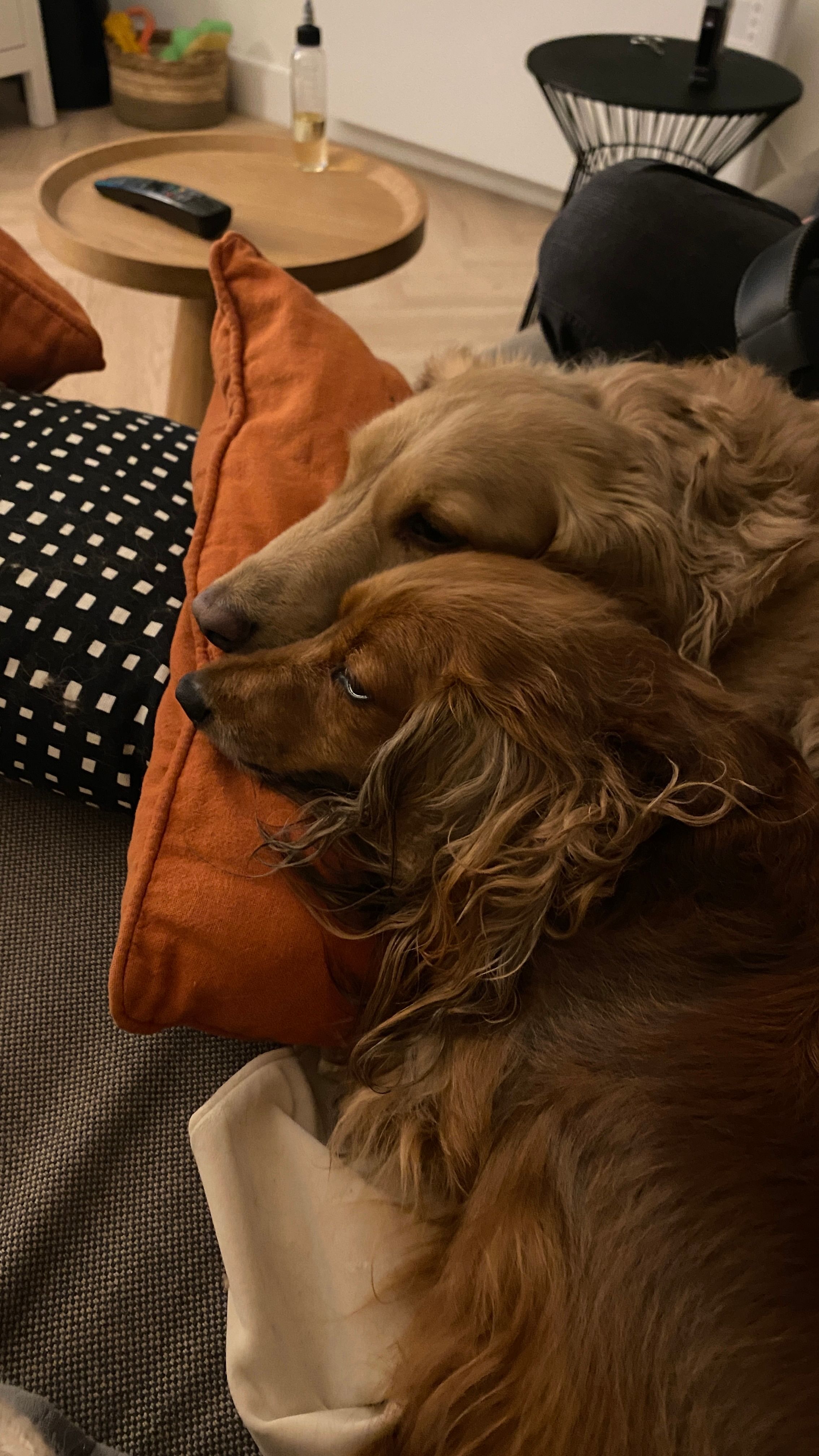 image-14