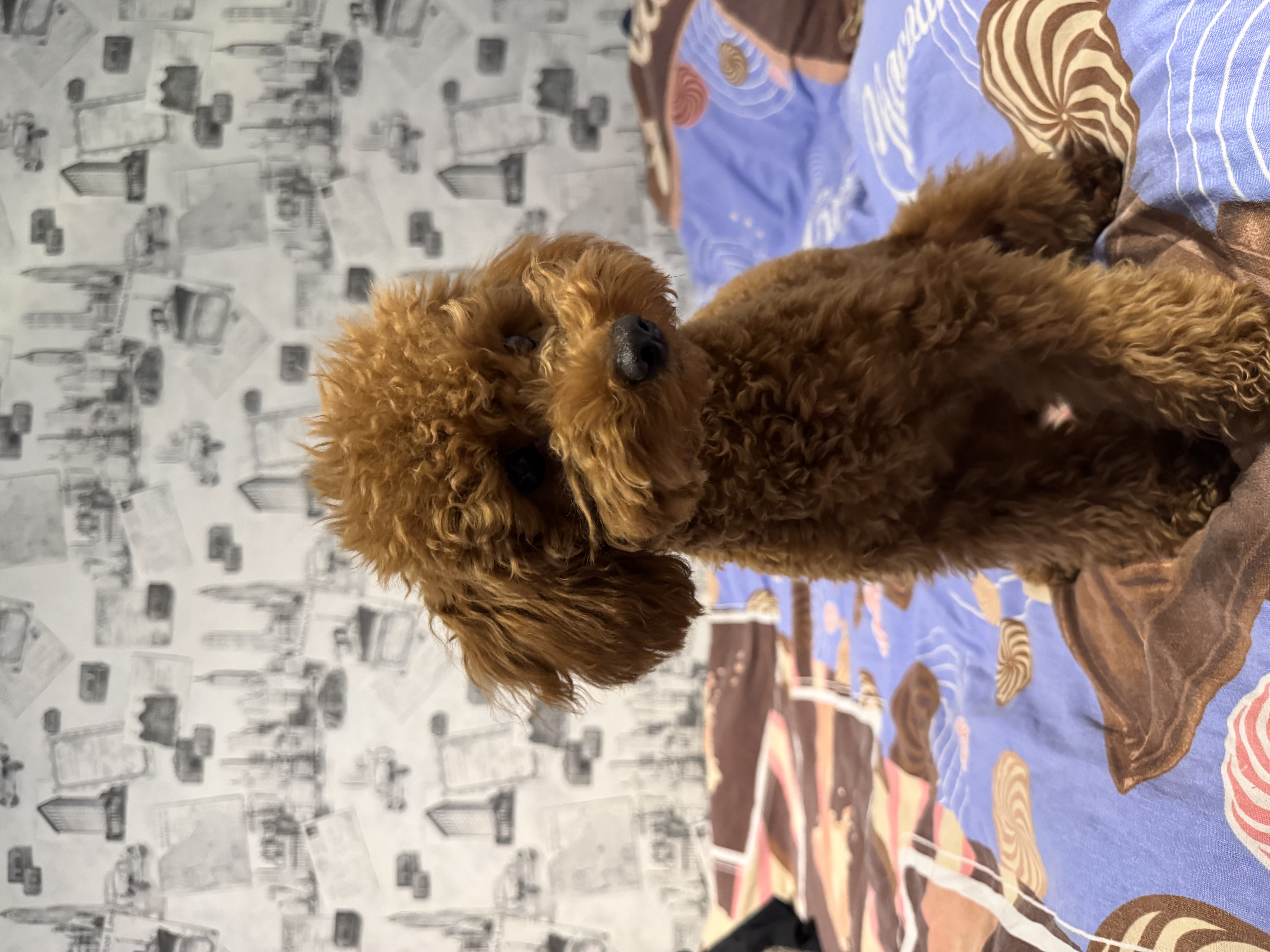 image-8
