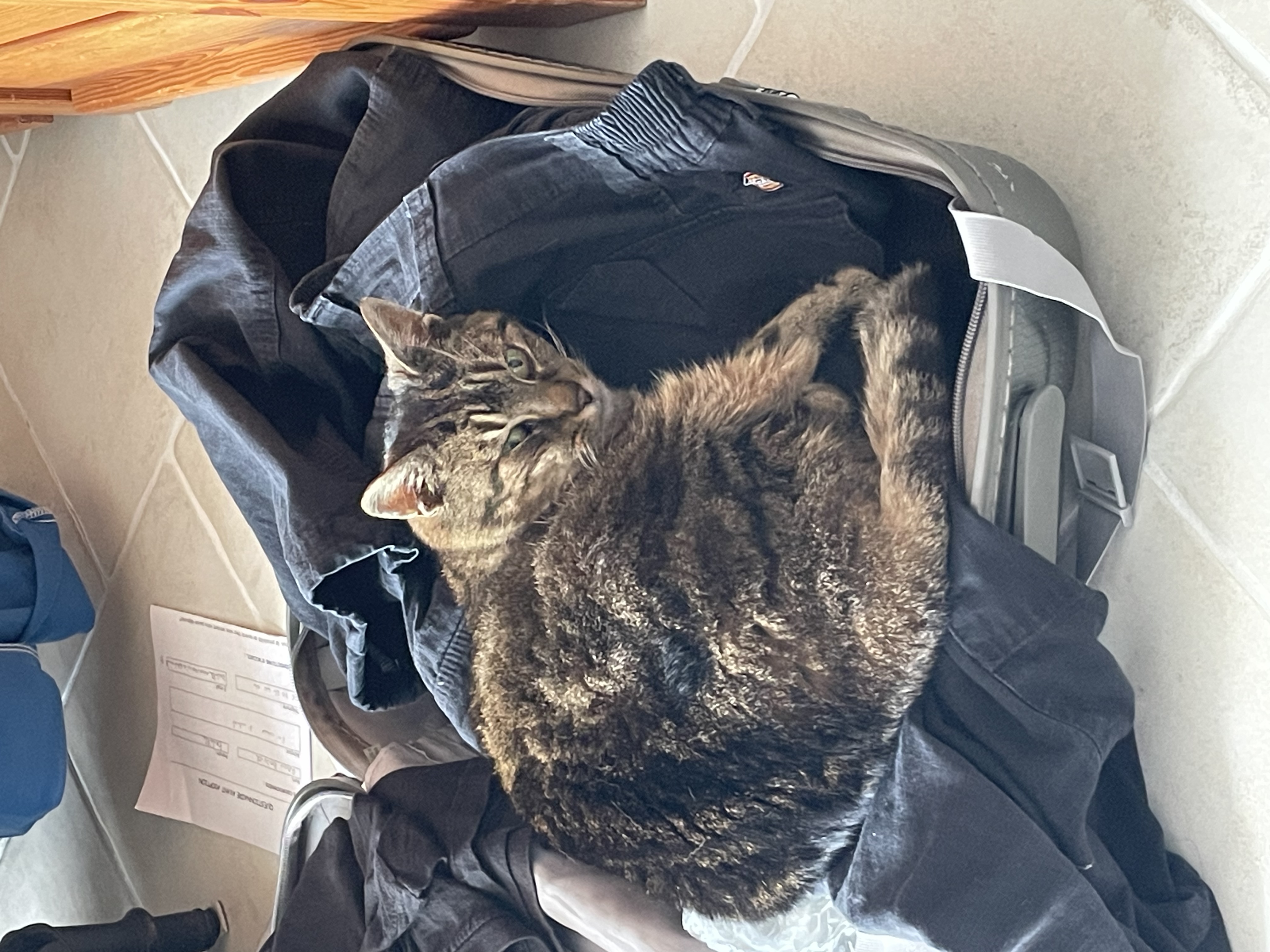 image-15