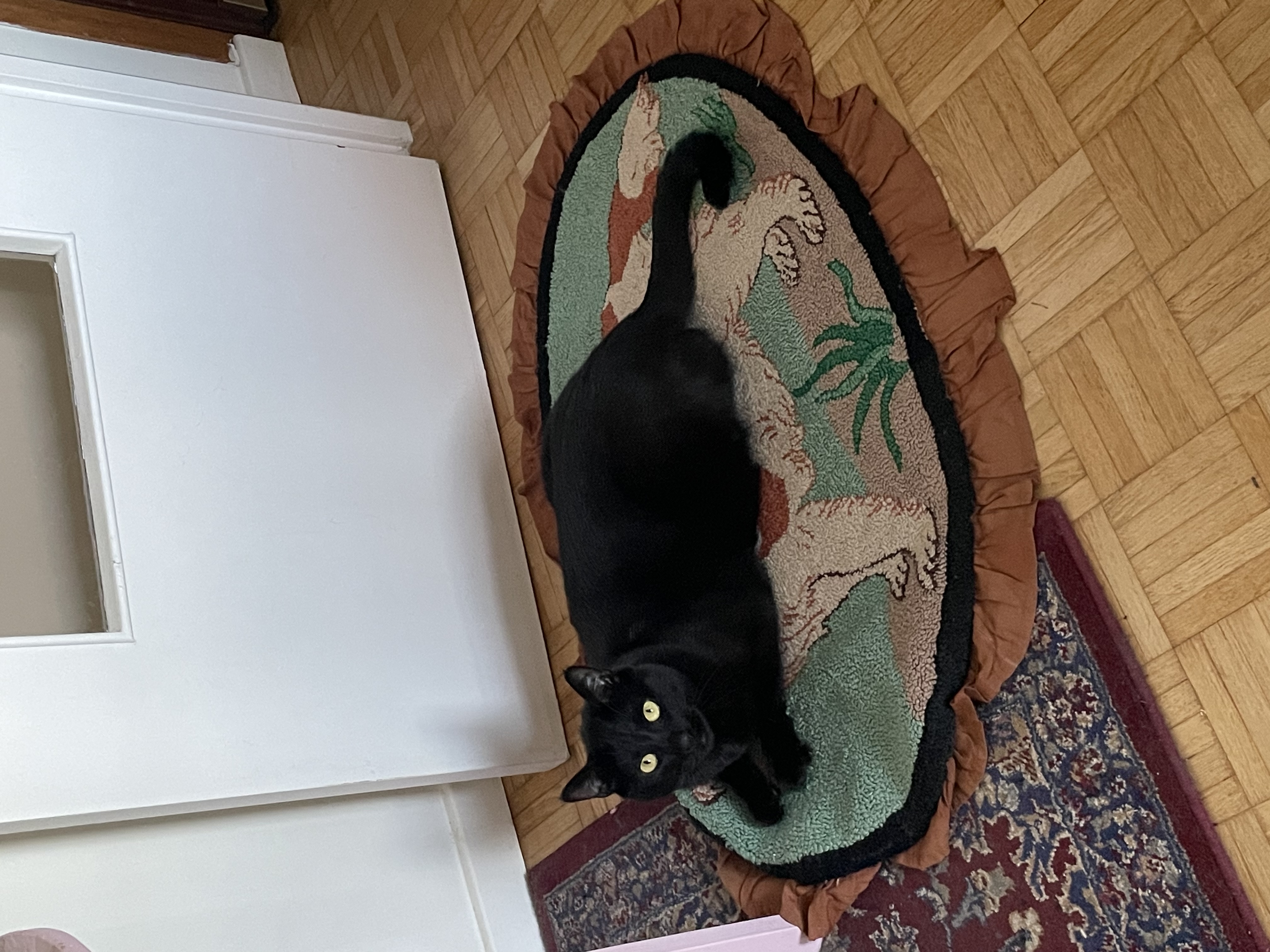 image-8