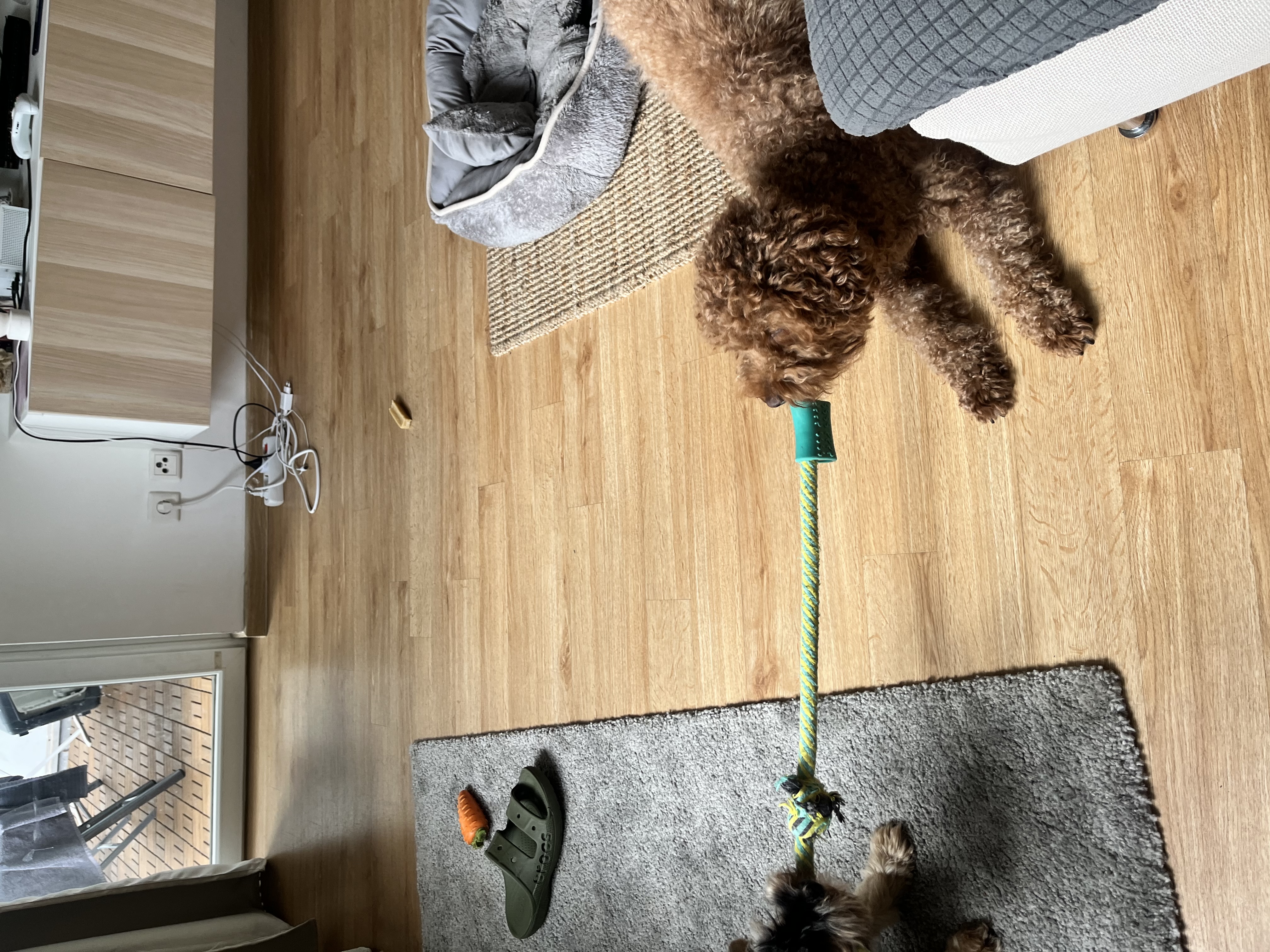 image-9