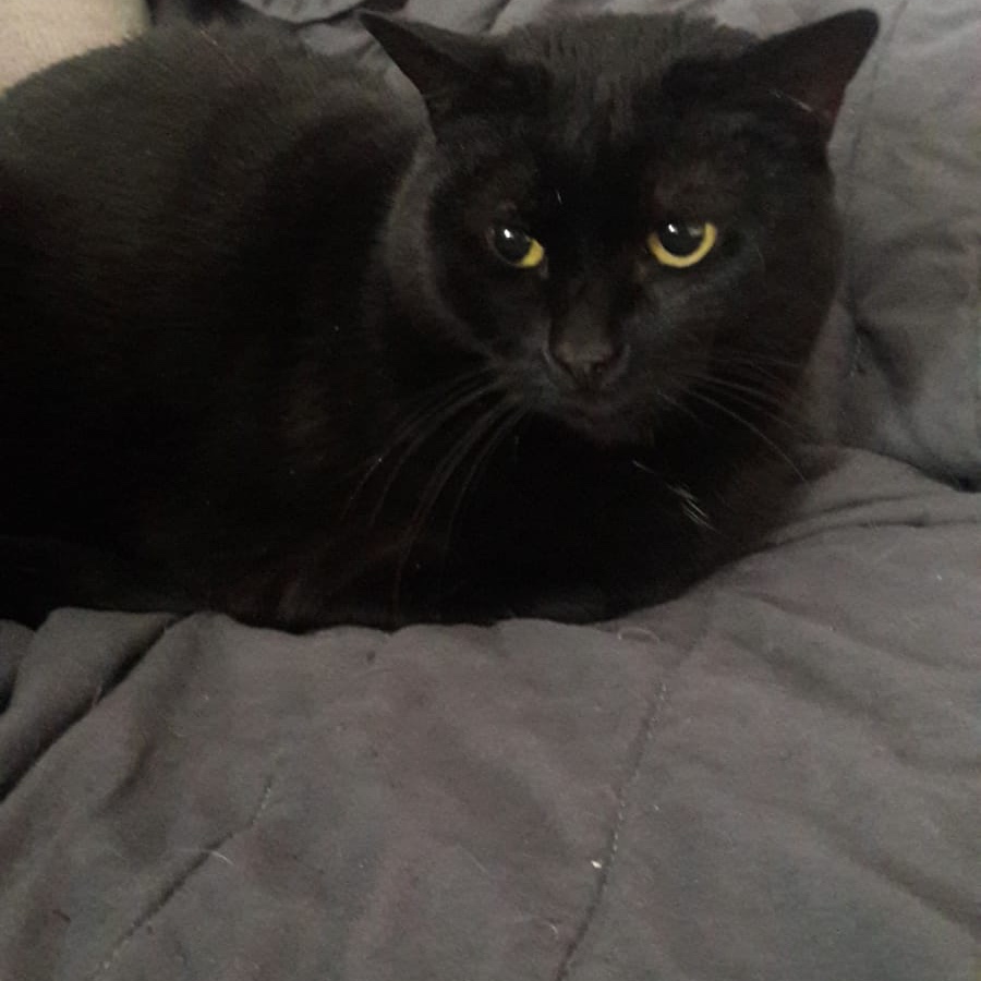 Nina