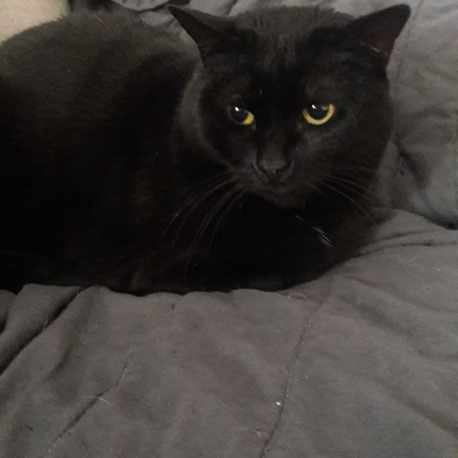 Nina