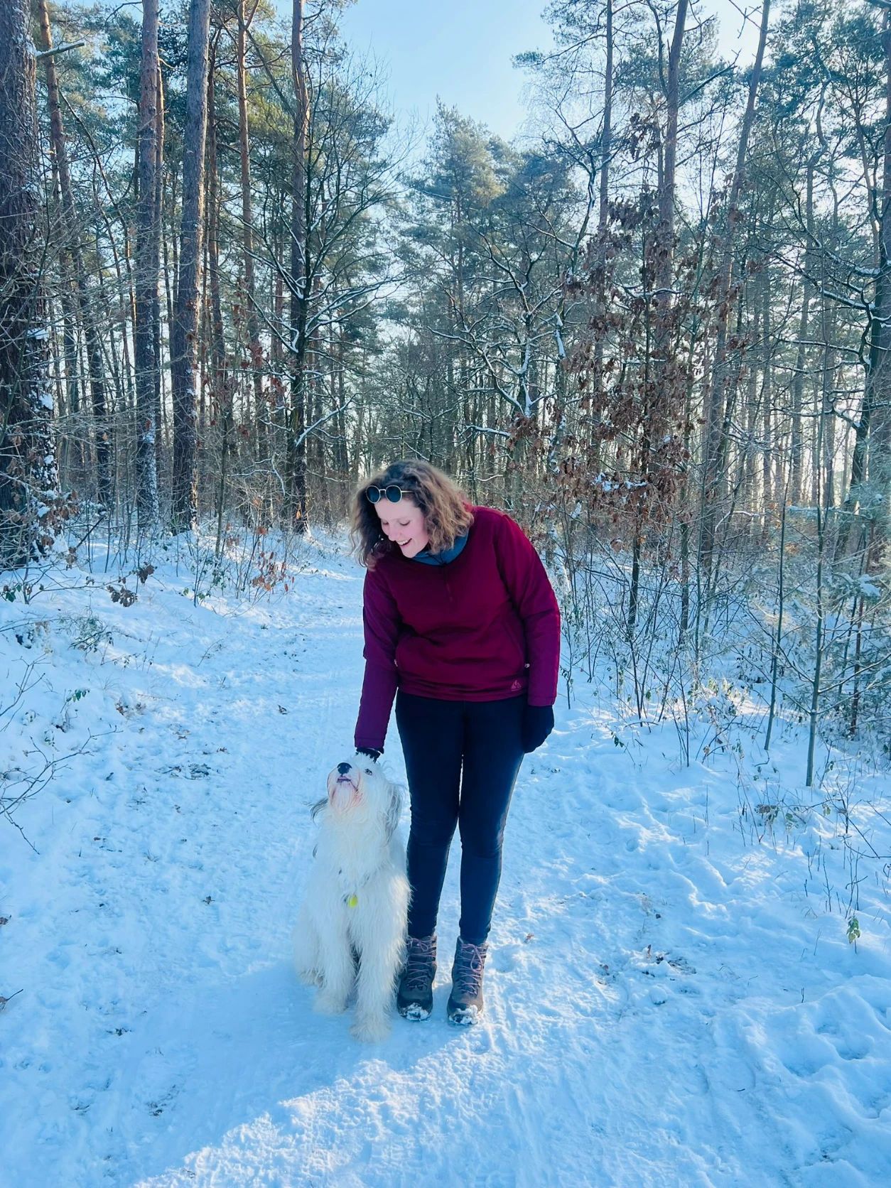 image-8