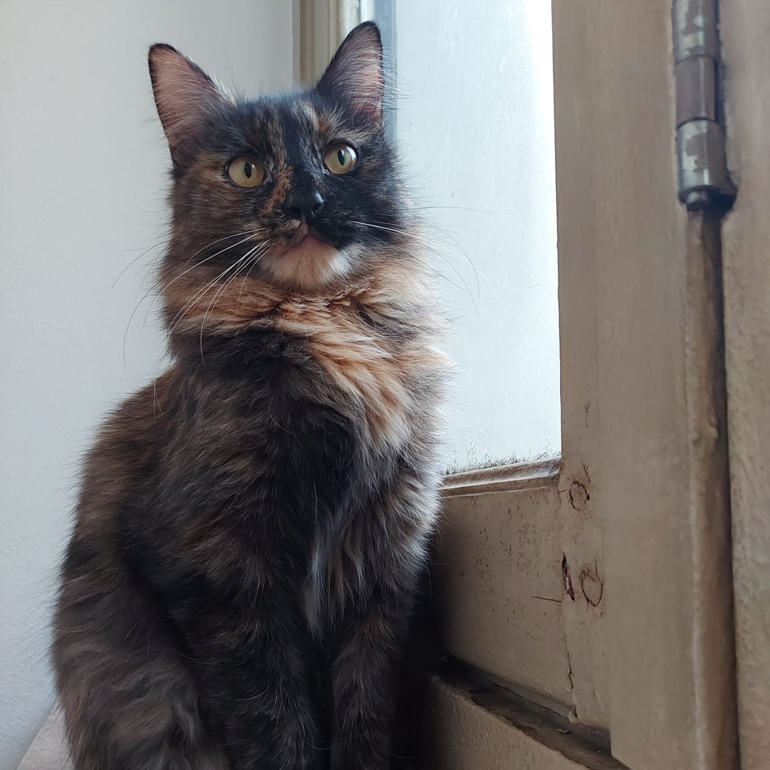 Frida