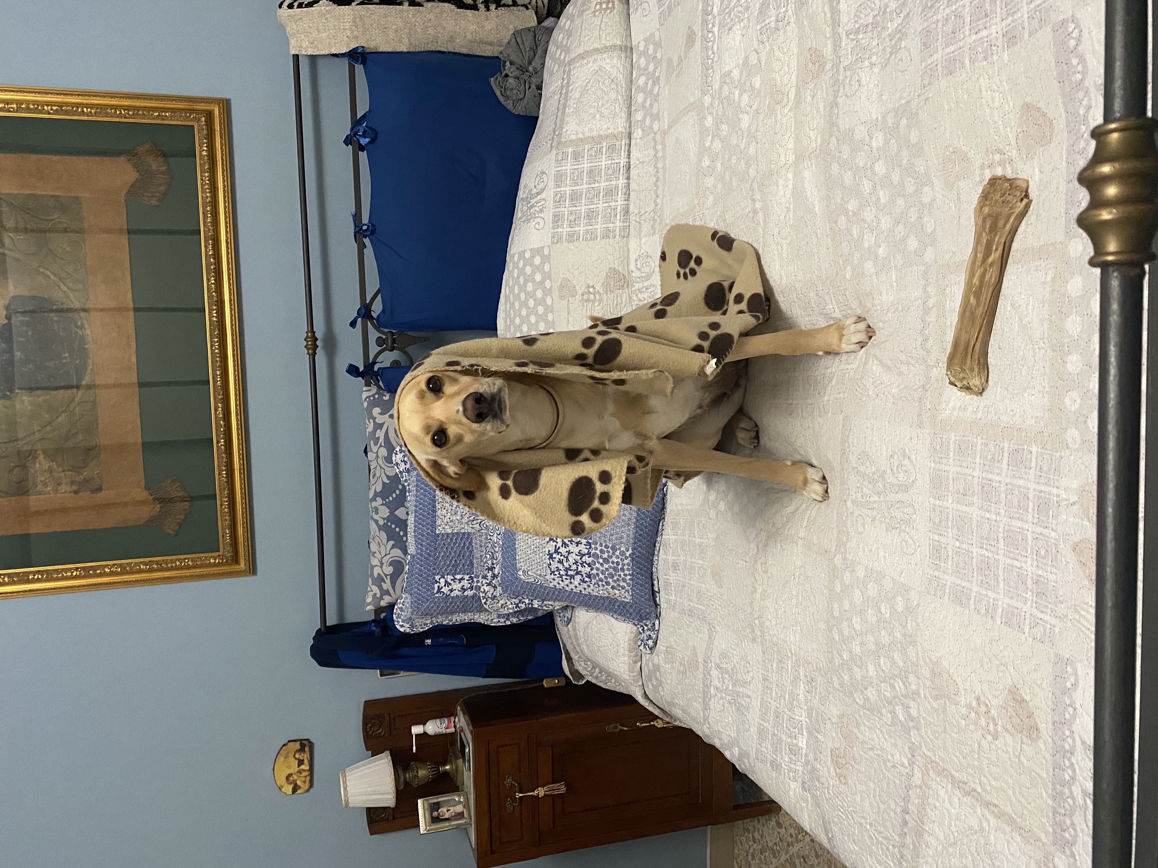 image-10
